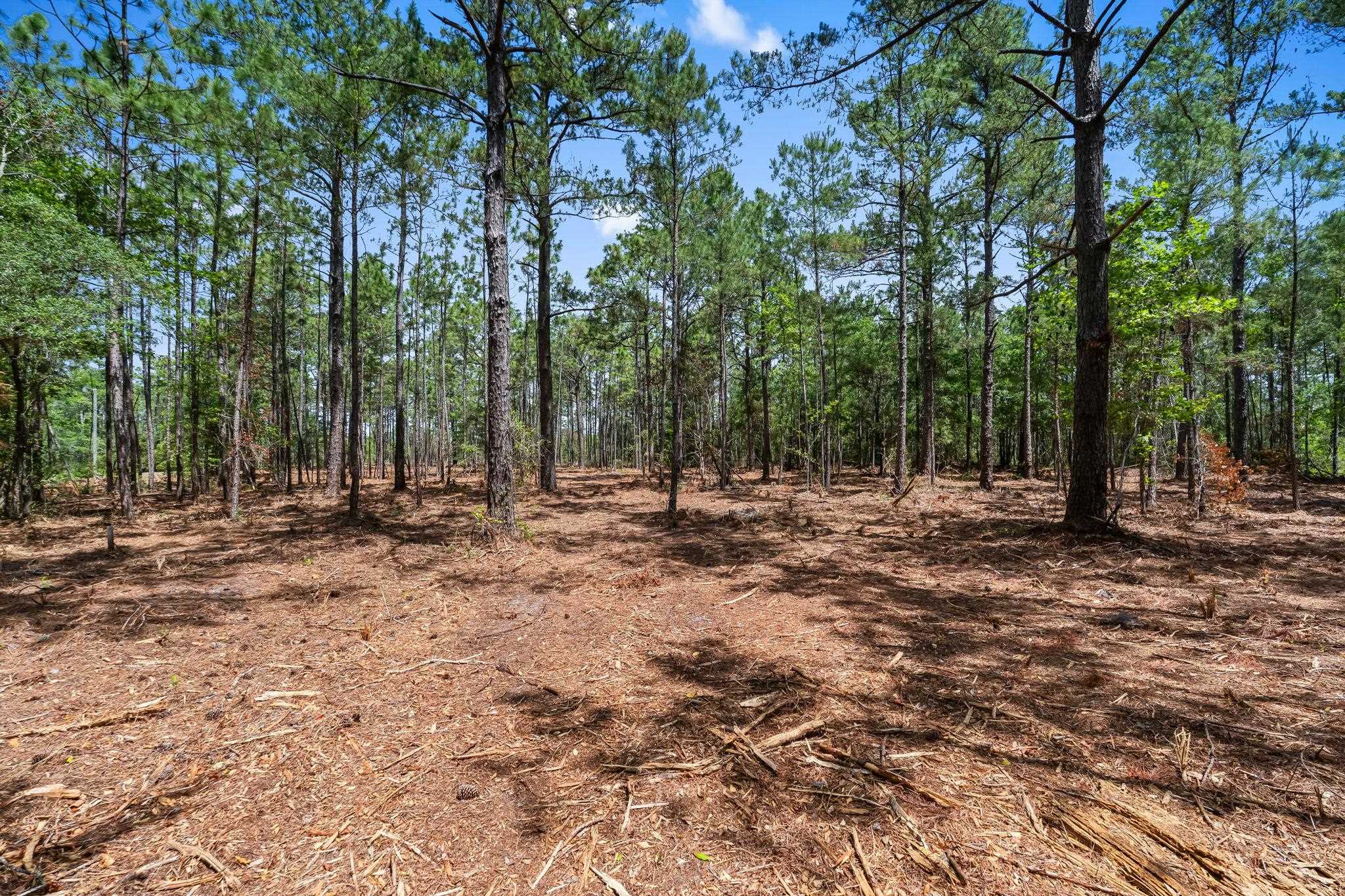 3600 Water Tower Rd. Property Photo 10