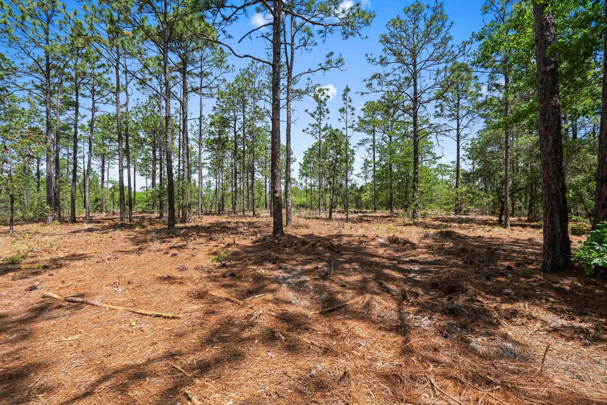 3600 Water Tower Rd. Property Photo 15