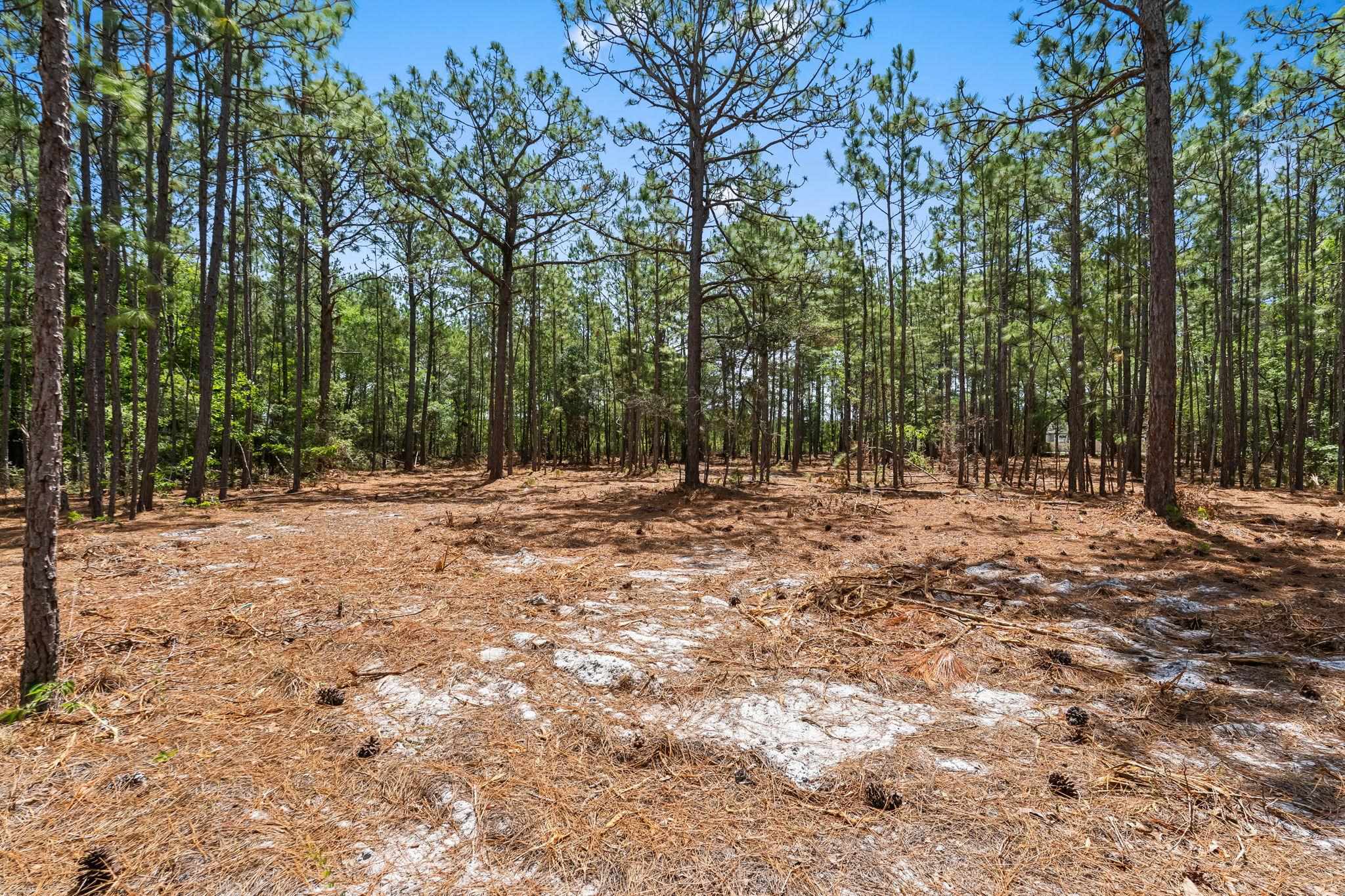 3600 Water Tower Rd. Property Photo 17