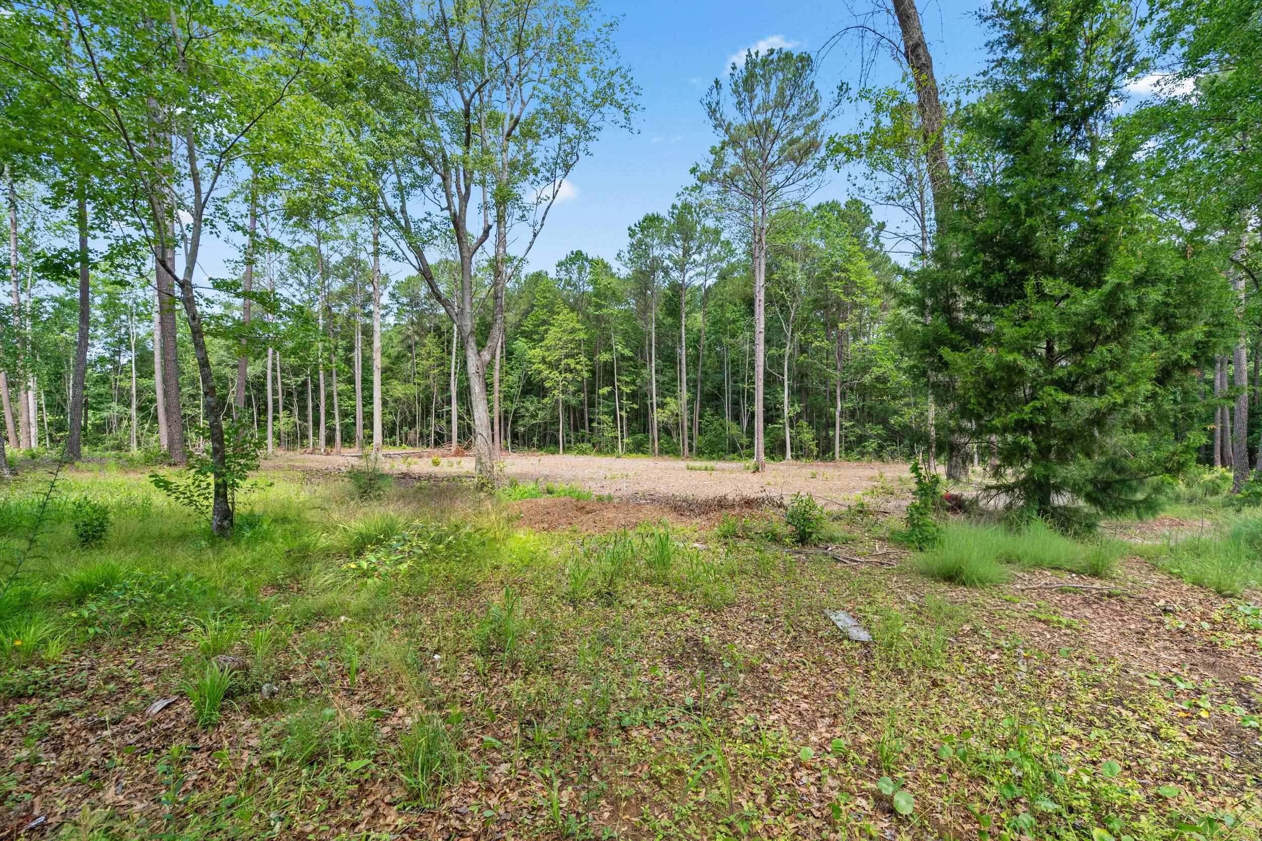 3695 Highway 905 Property Photo 40