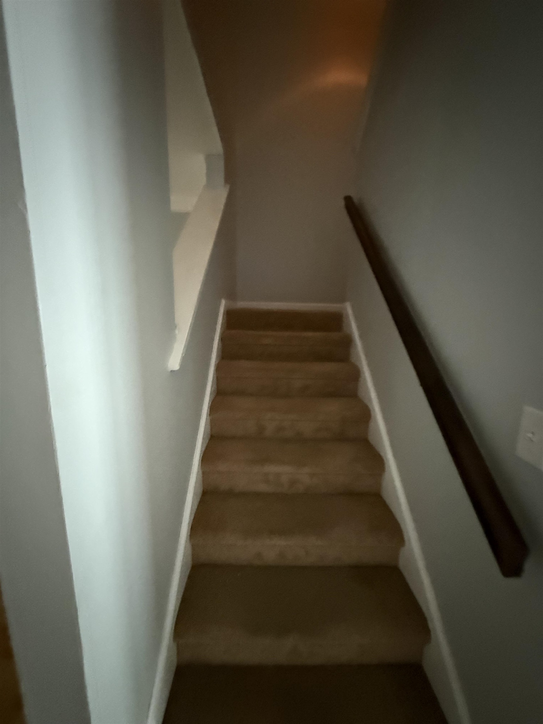 32 Shadow Moss Pl. Property Photo 39
