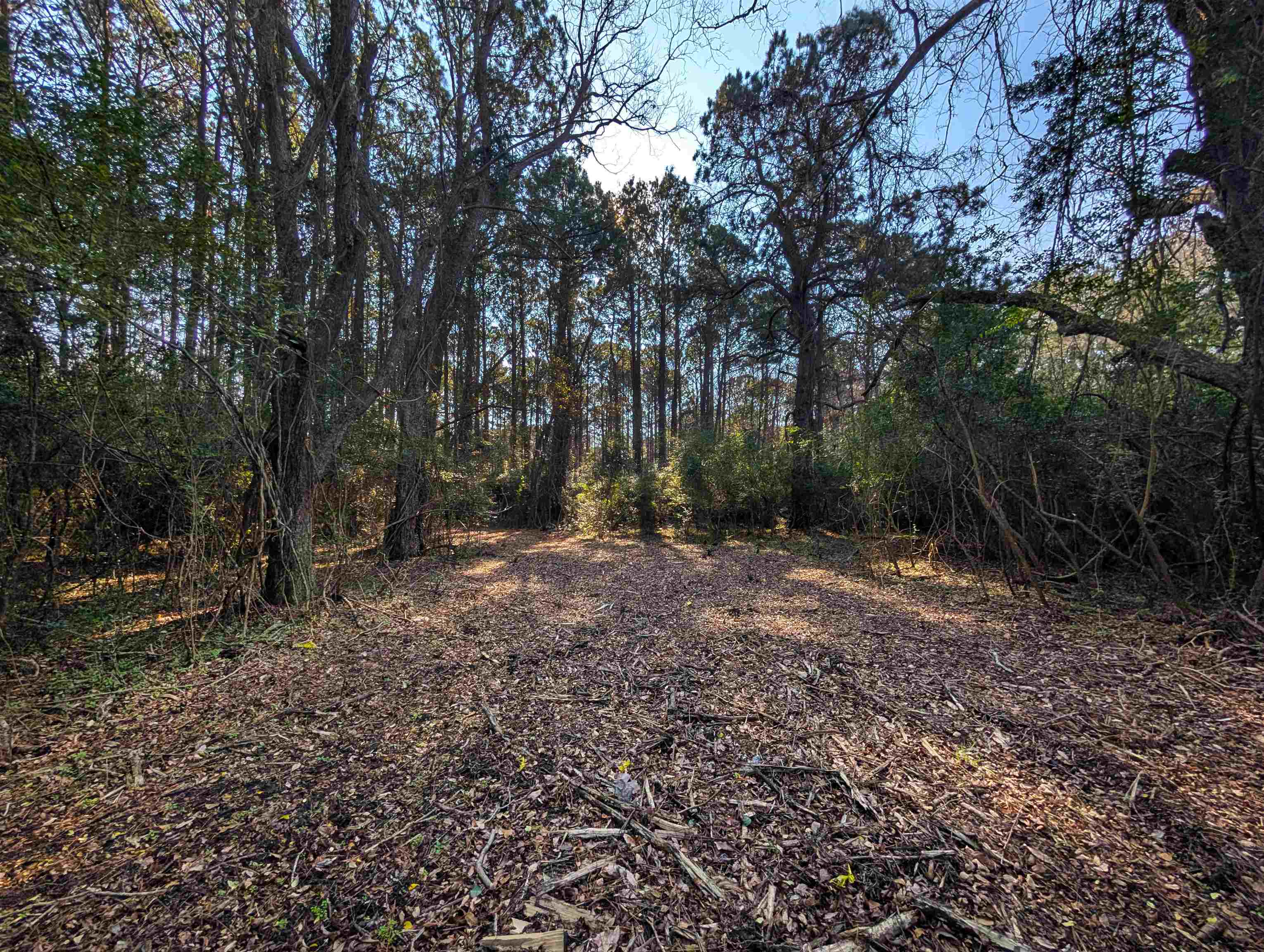 3799 N Highway 17 Property Photo 4
