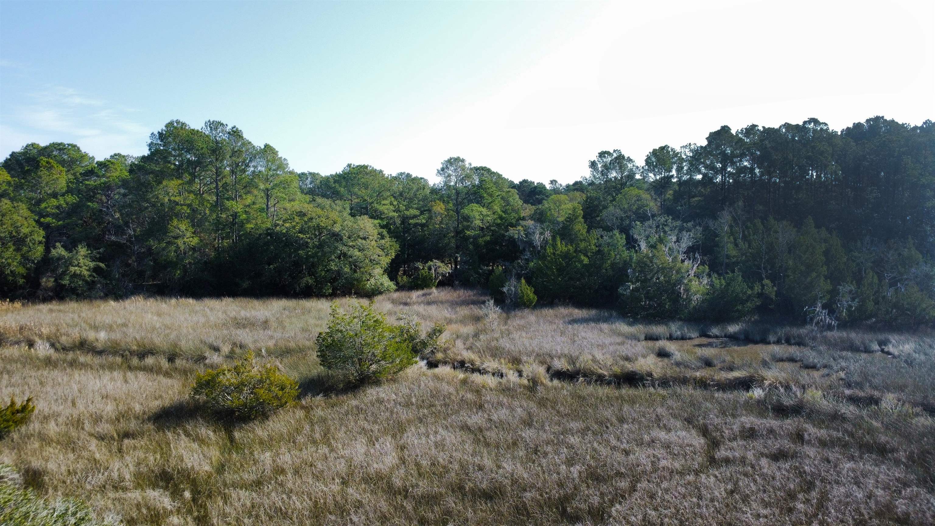 3799 N Highway 17 Property Photo 11