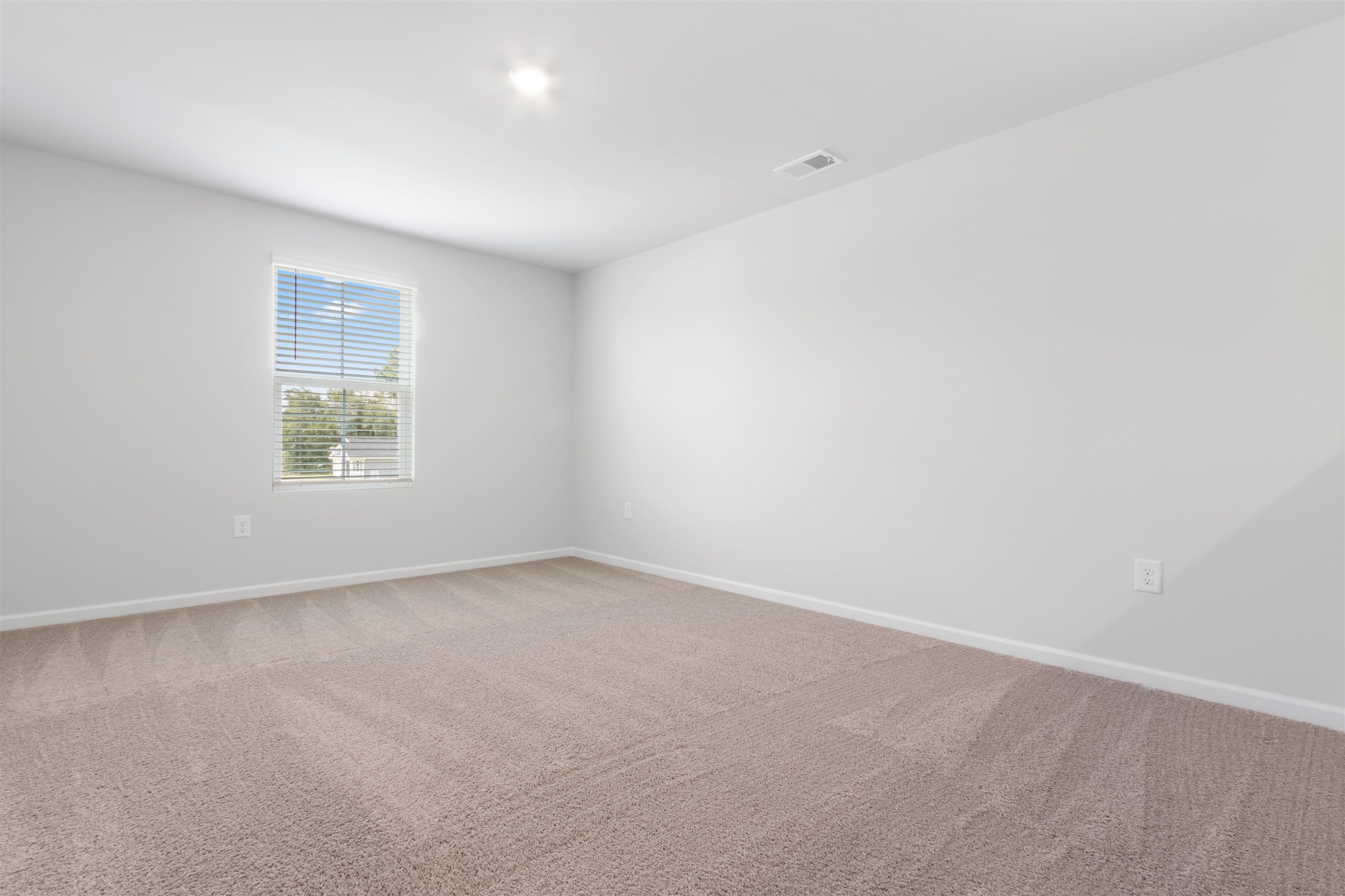 868 Rivas Way Property Photo 19