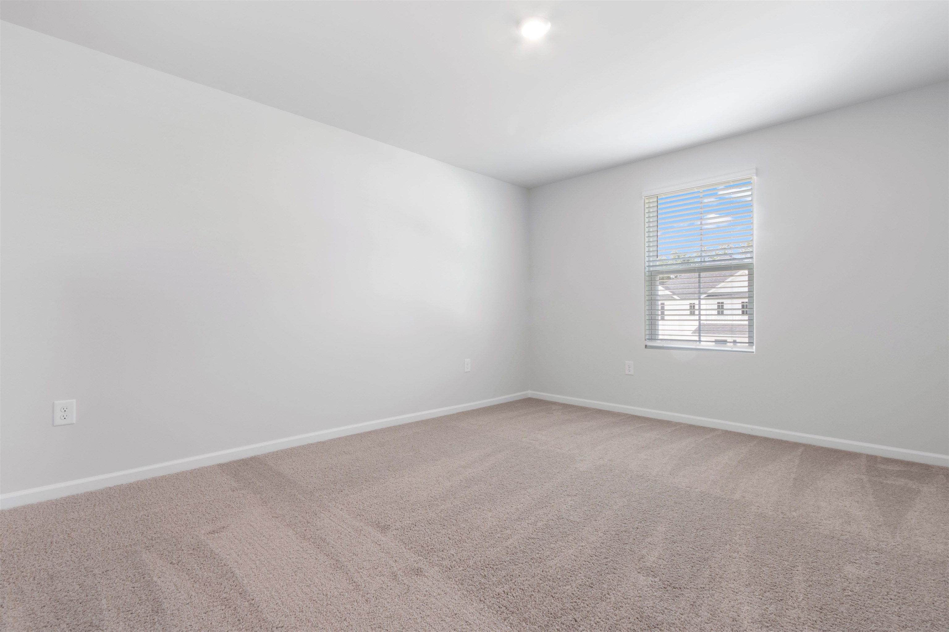 868 Rivas Way Property Photo 22