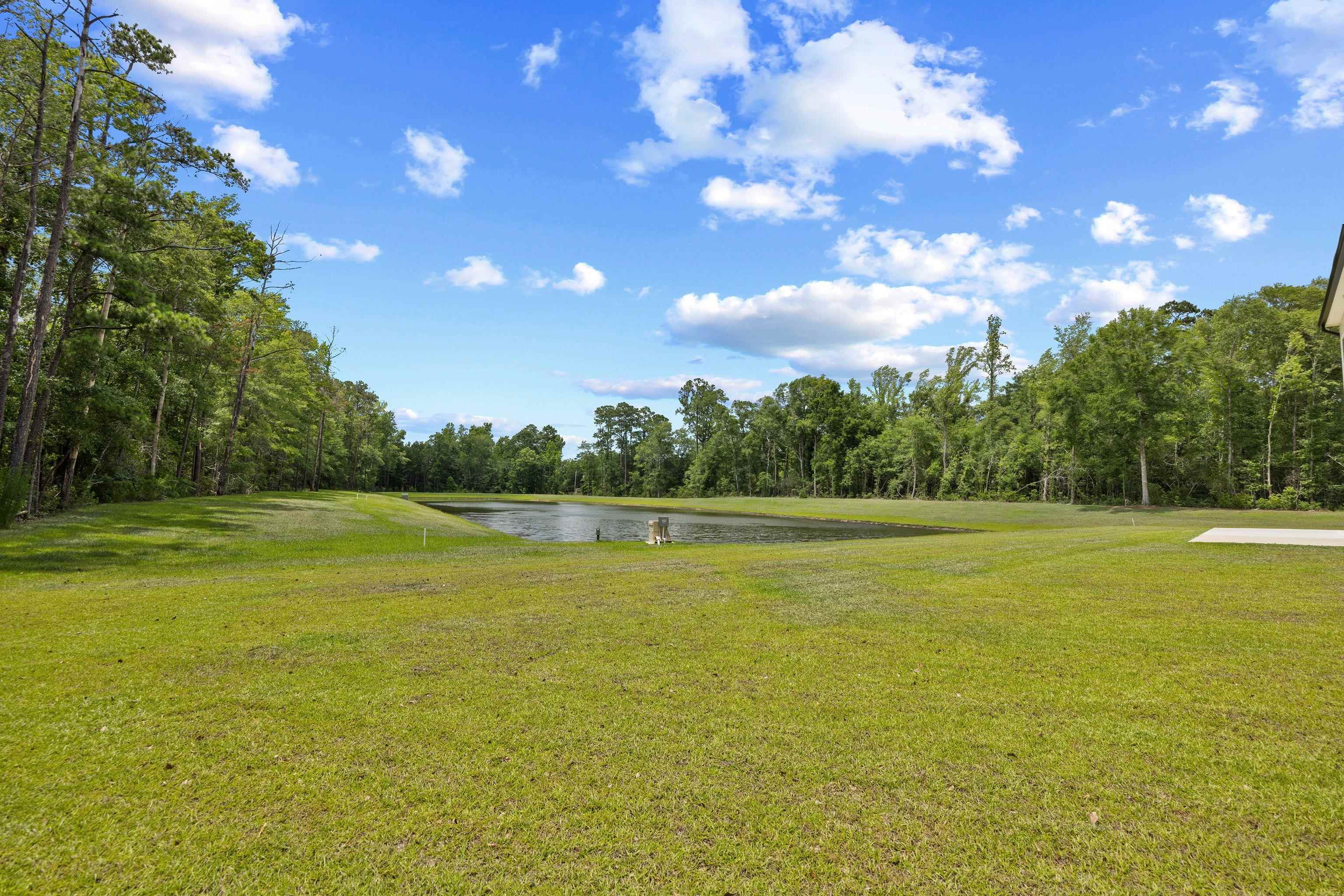 445 Falling Leaf Loop Property Photo 37