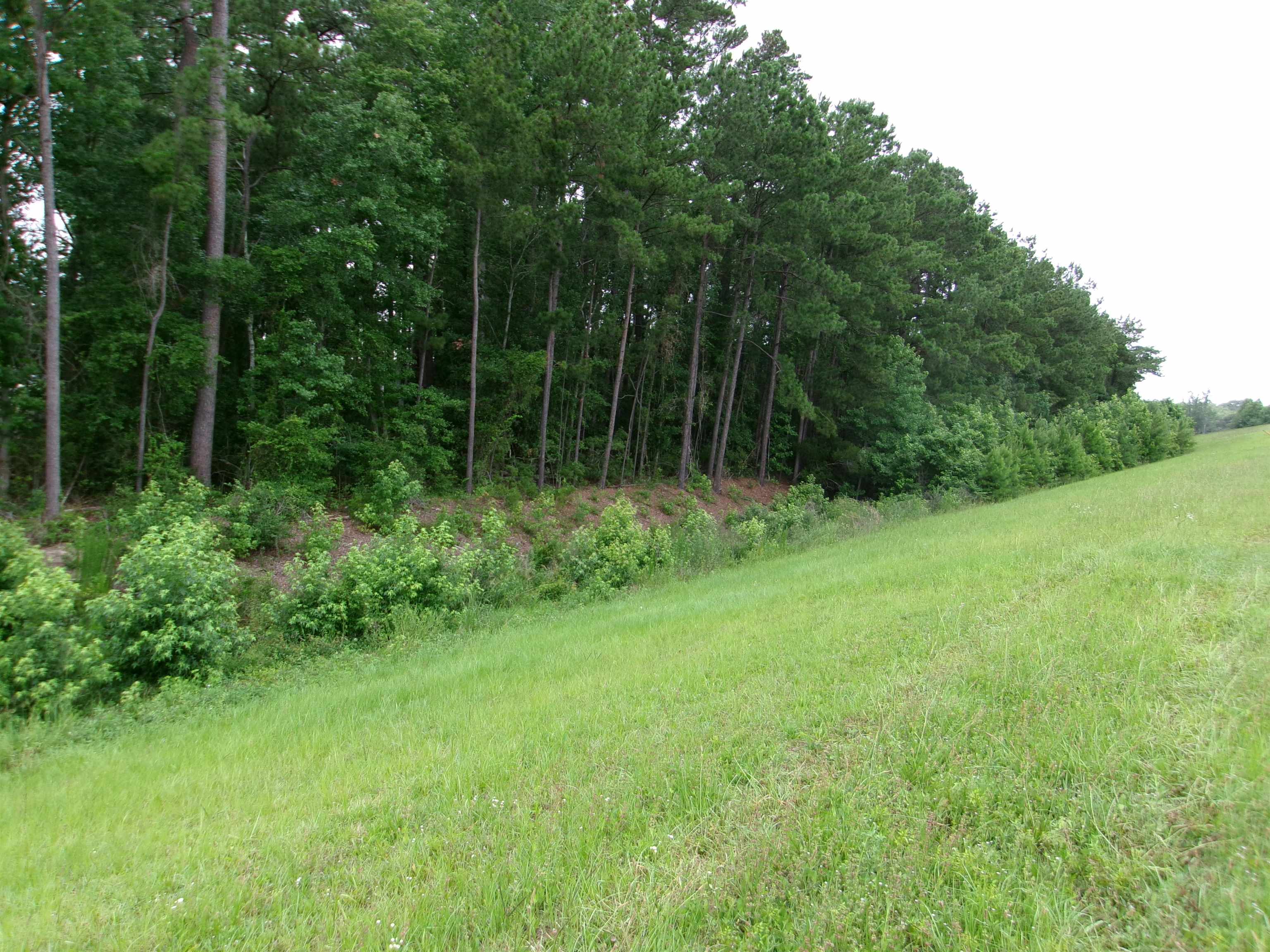 Highway 544 Property Photo 1