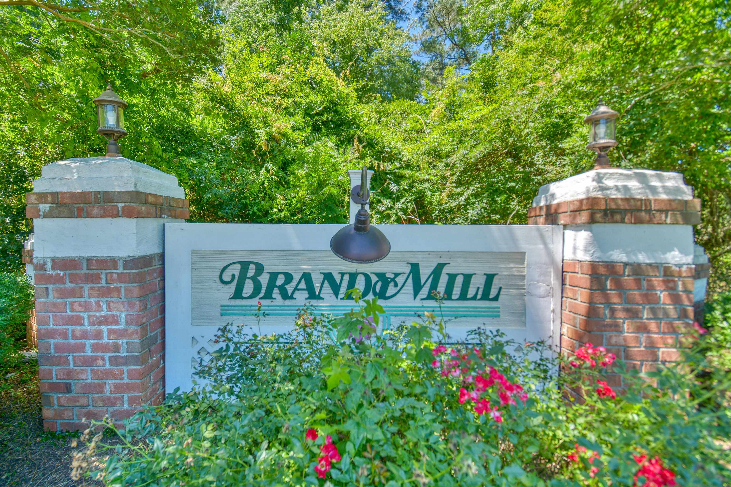 439 Brandymill Blvd Property Photo 35