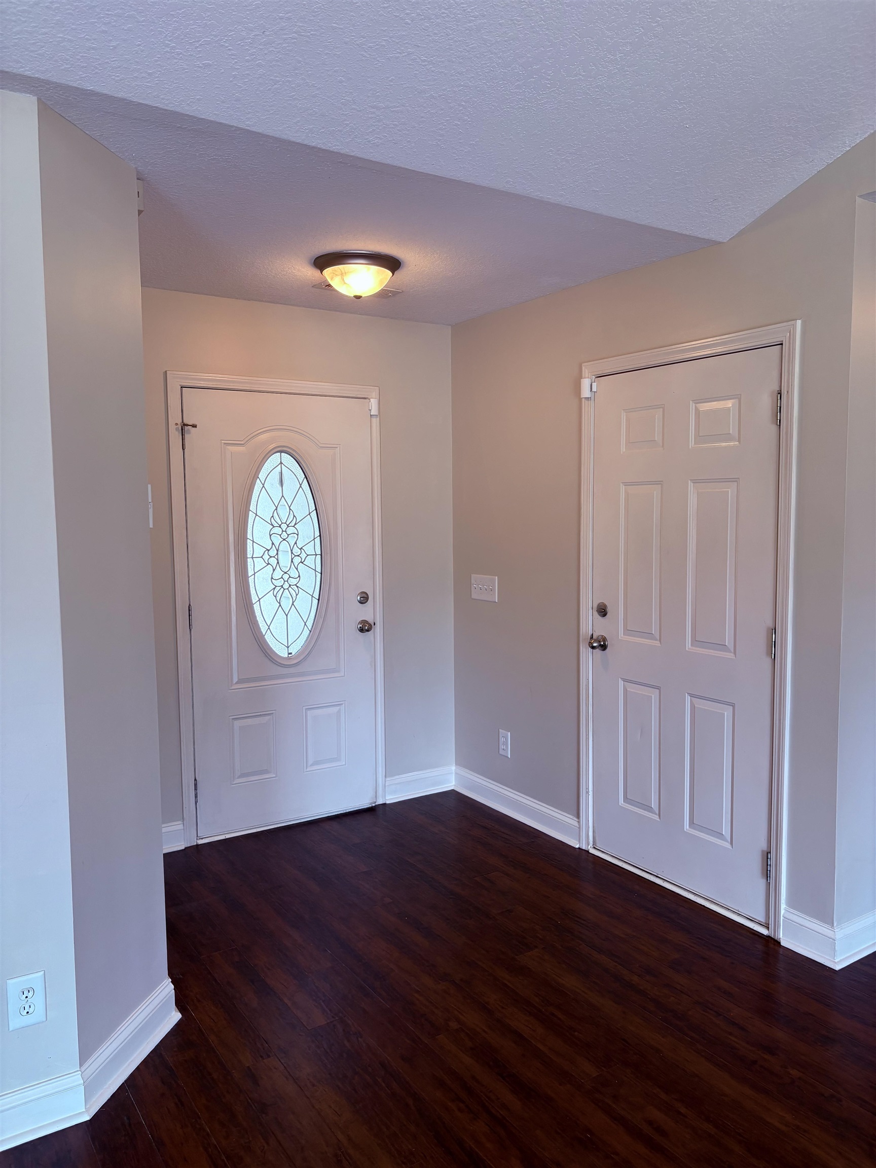 208 Hickory Springs Ct. Property Photo 4