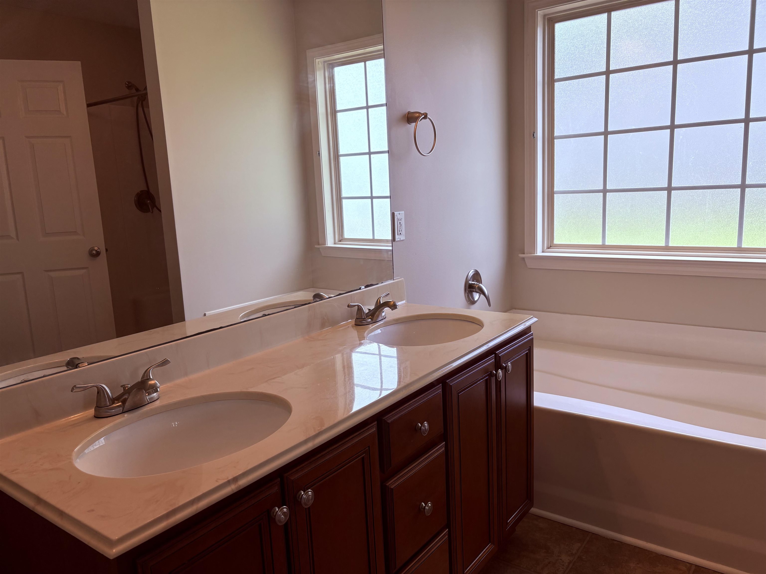 208 Hickory Springs Ct. Property Photo 23