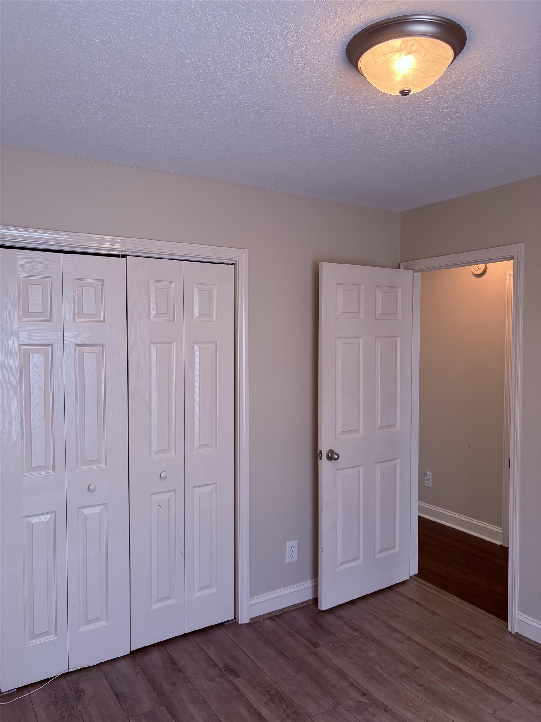 208 Hickory Springs Ct. Property Photo 27