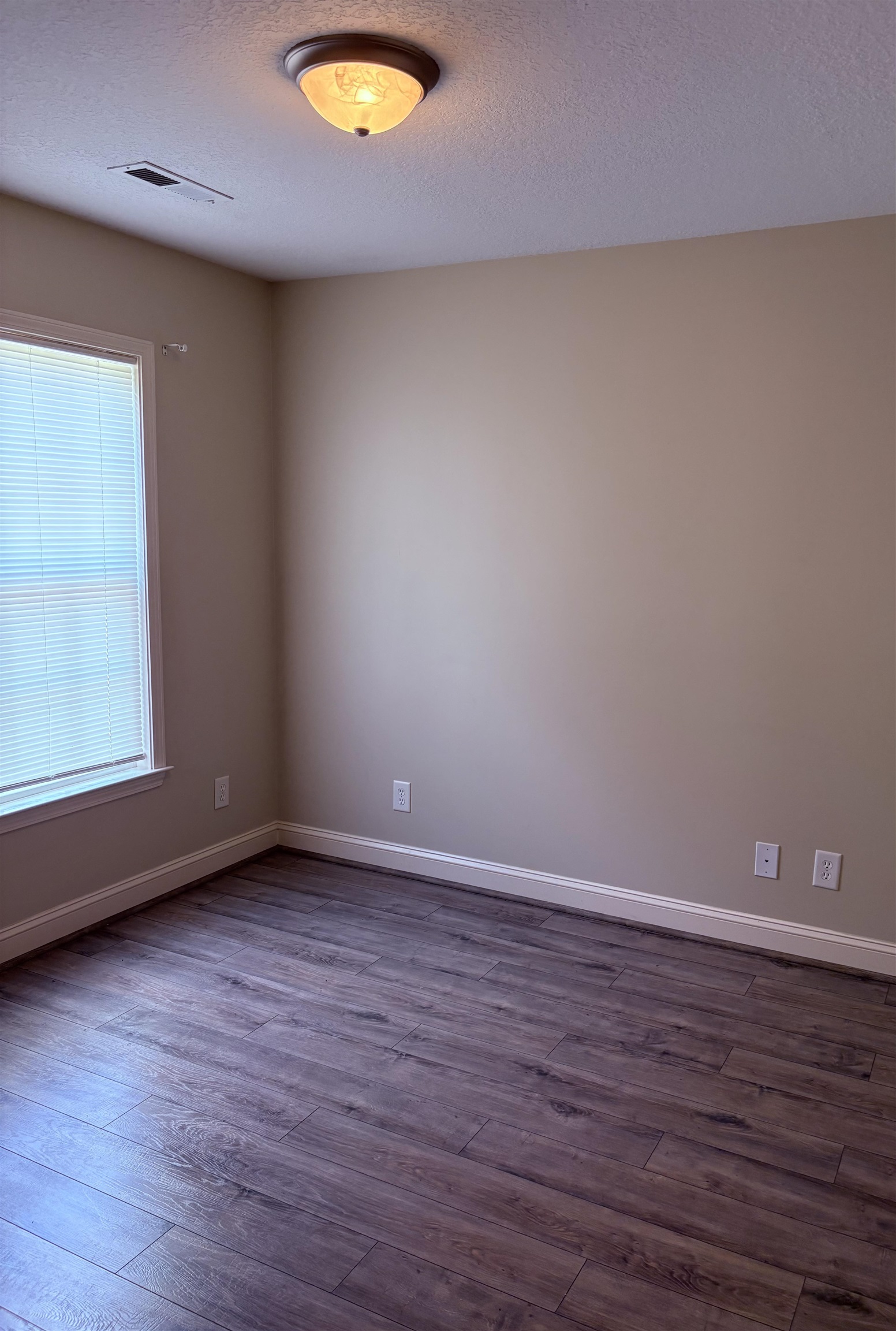 208 Hickory Springs Ct. Property Photo 28