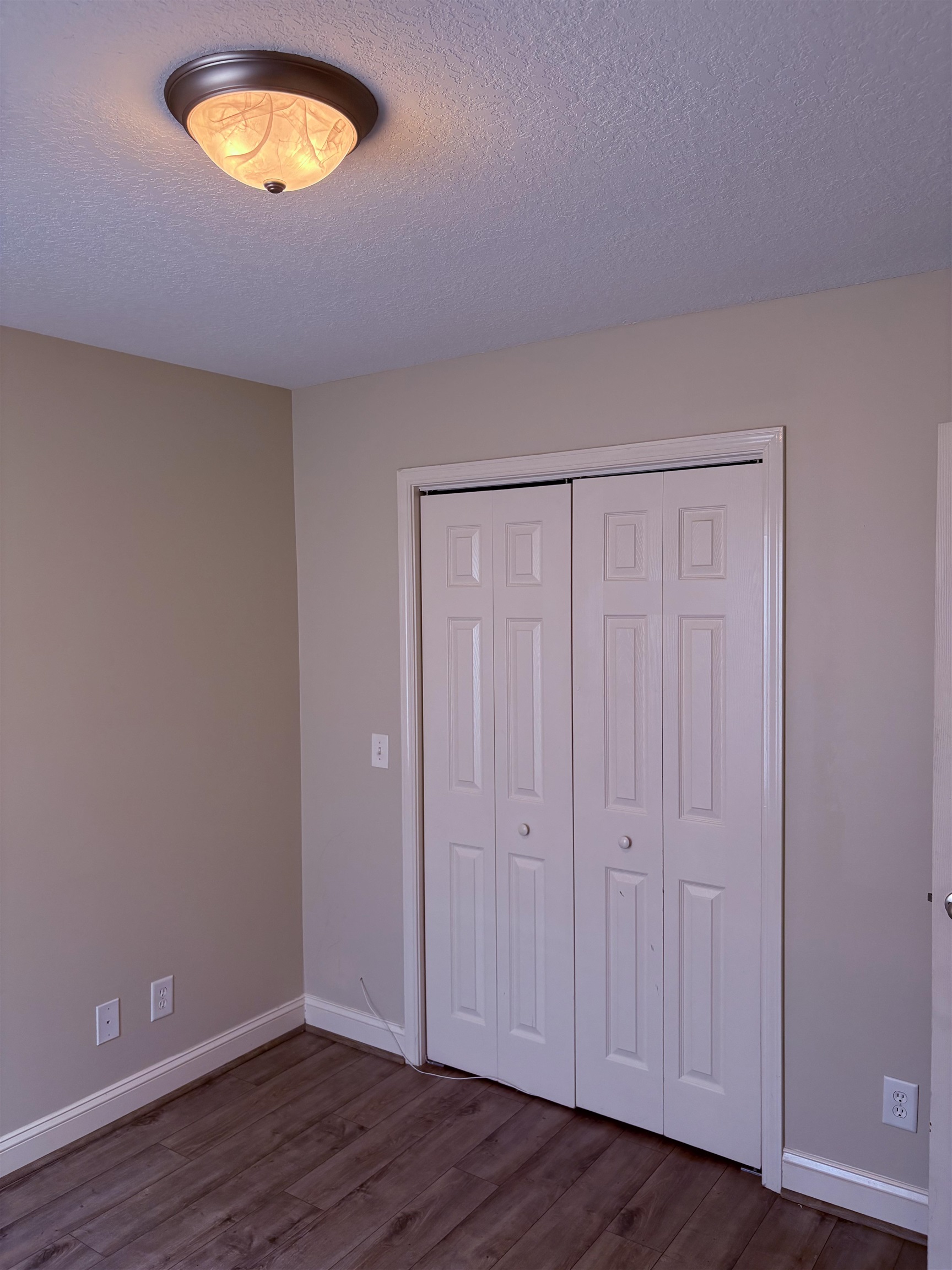 208 Hickory Springs Ct. Property Photo 29