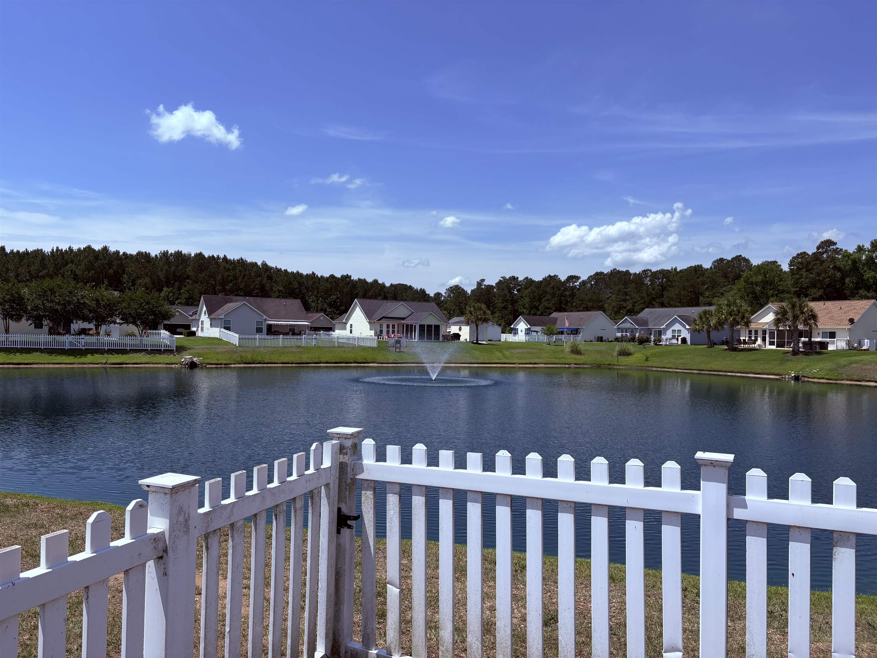 208 Hickory Springs Ct. Property Photo 41