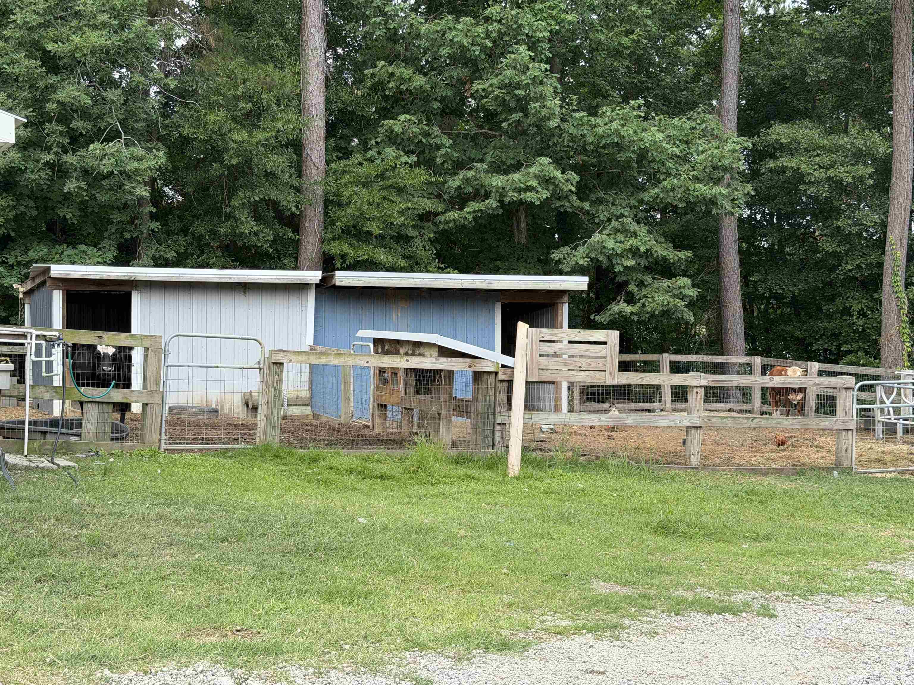 1407 Lees Landing Circle Property Photo 57