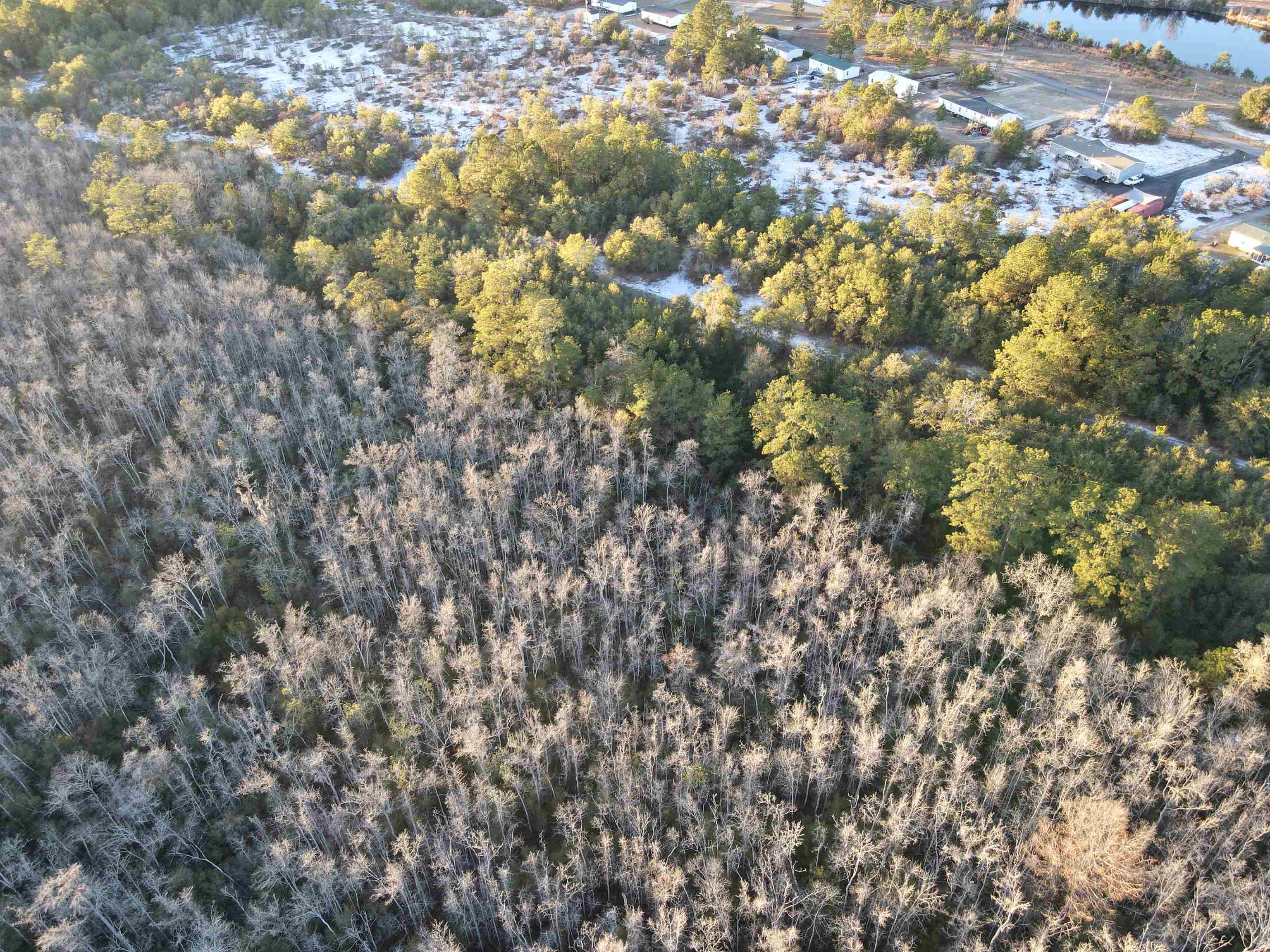 Tbd4 Francis Marion Dr. Property Photo 16