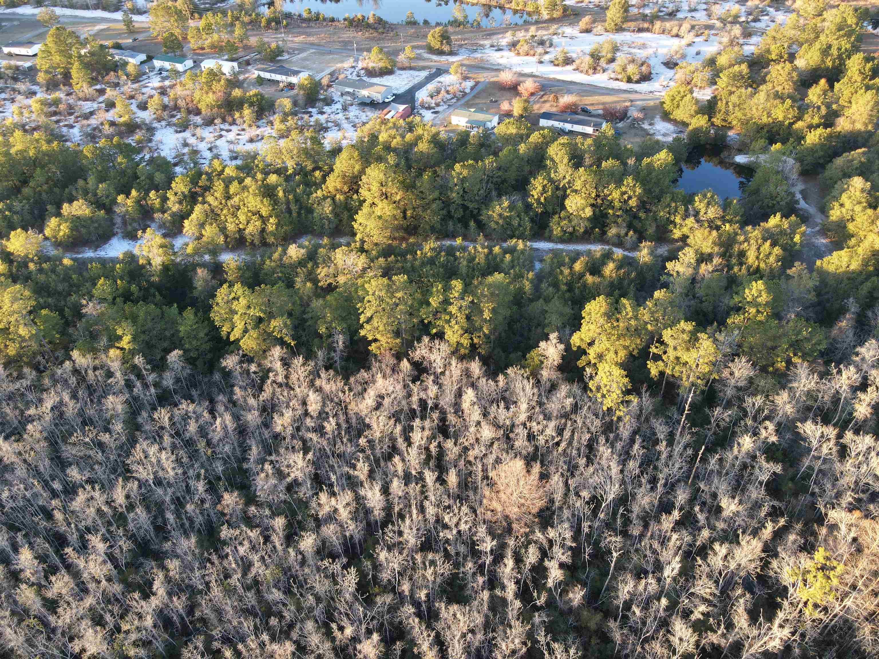 Tbd5 Francis Marion Dr. Property Photo 17