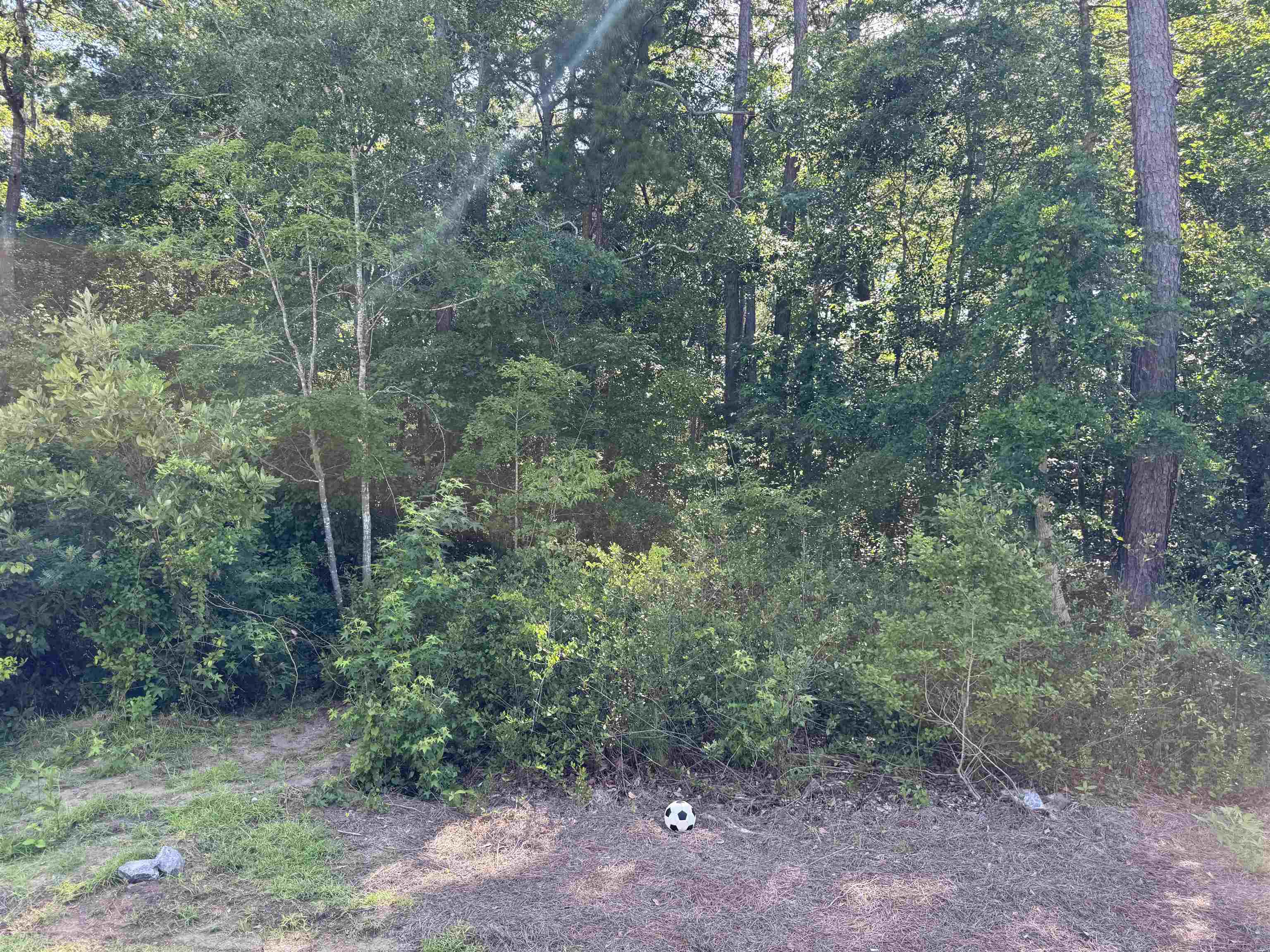 269 Christiana Ln. Property Photo 28