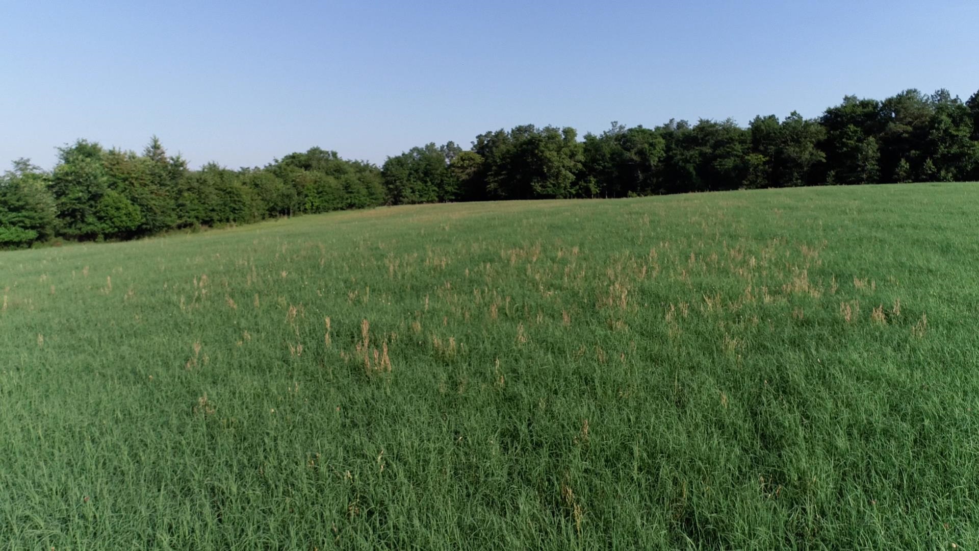 2631 Charlie Johnson Rd Property Photo 2