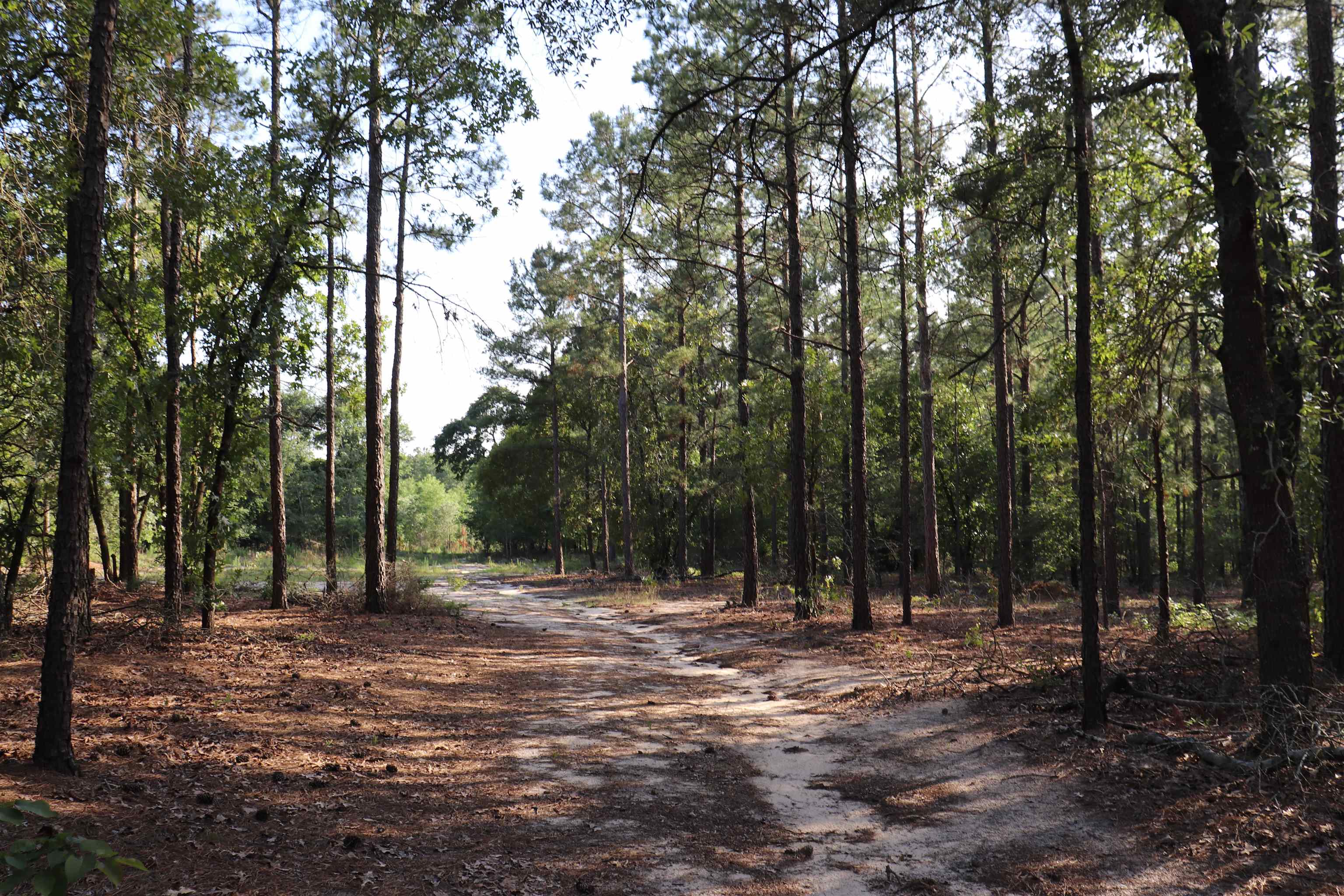 2631 Charlie Johnson Rd Property Photo 9