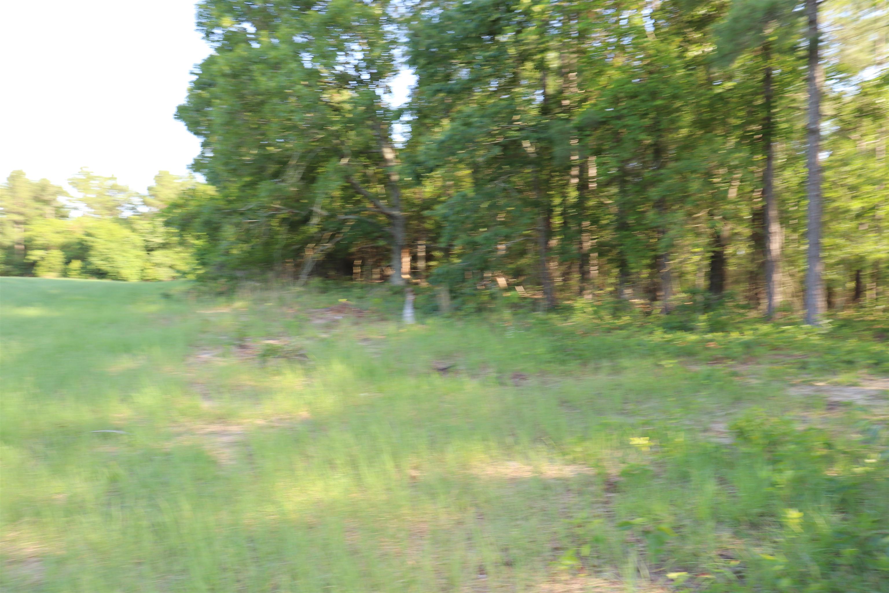 2631 Charlie Johnson Rd Property Photo 13