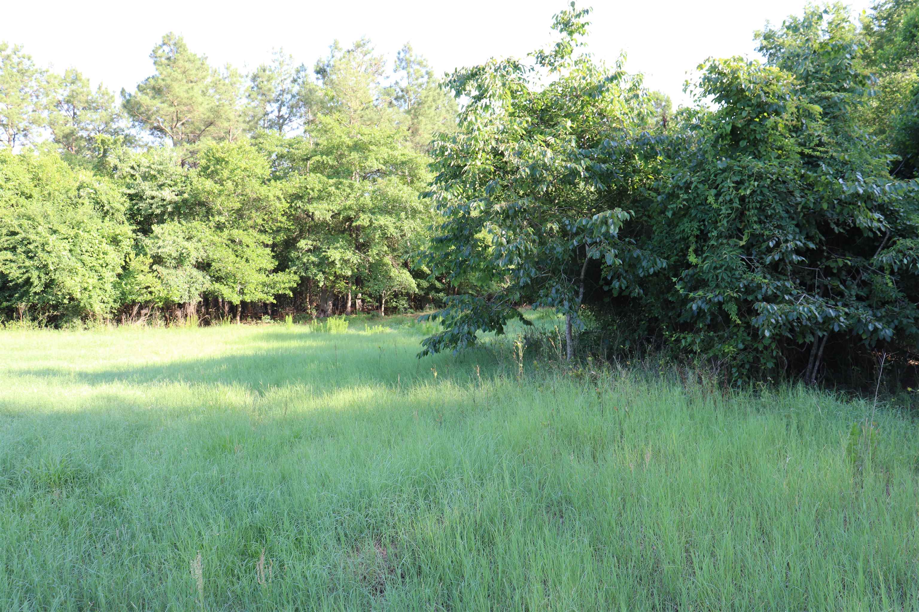 2631 Charlie Johnson Rd Property Photo 14