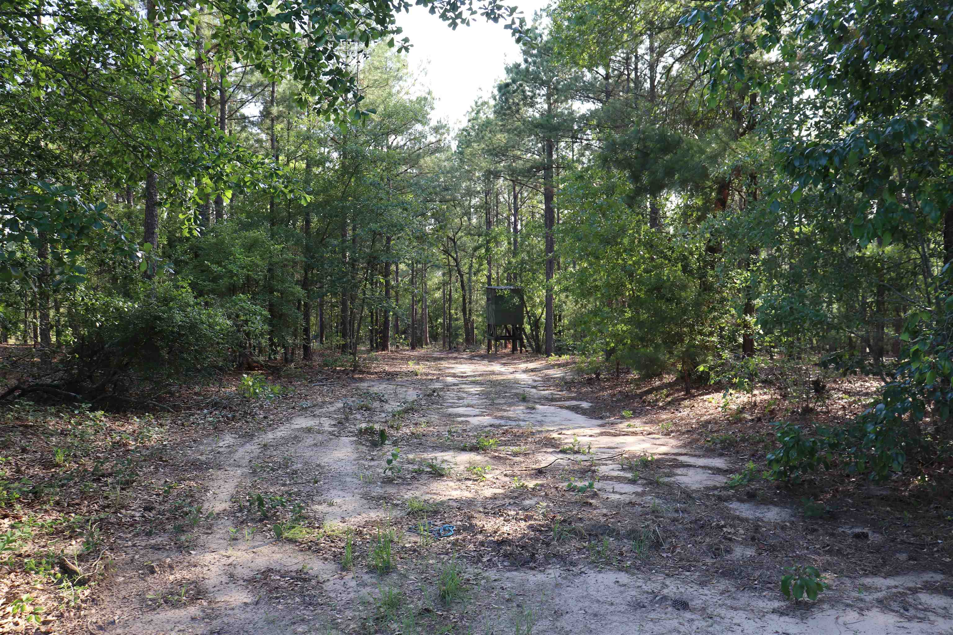 2631 Charlie Johnson Rd Property Photo 19