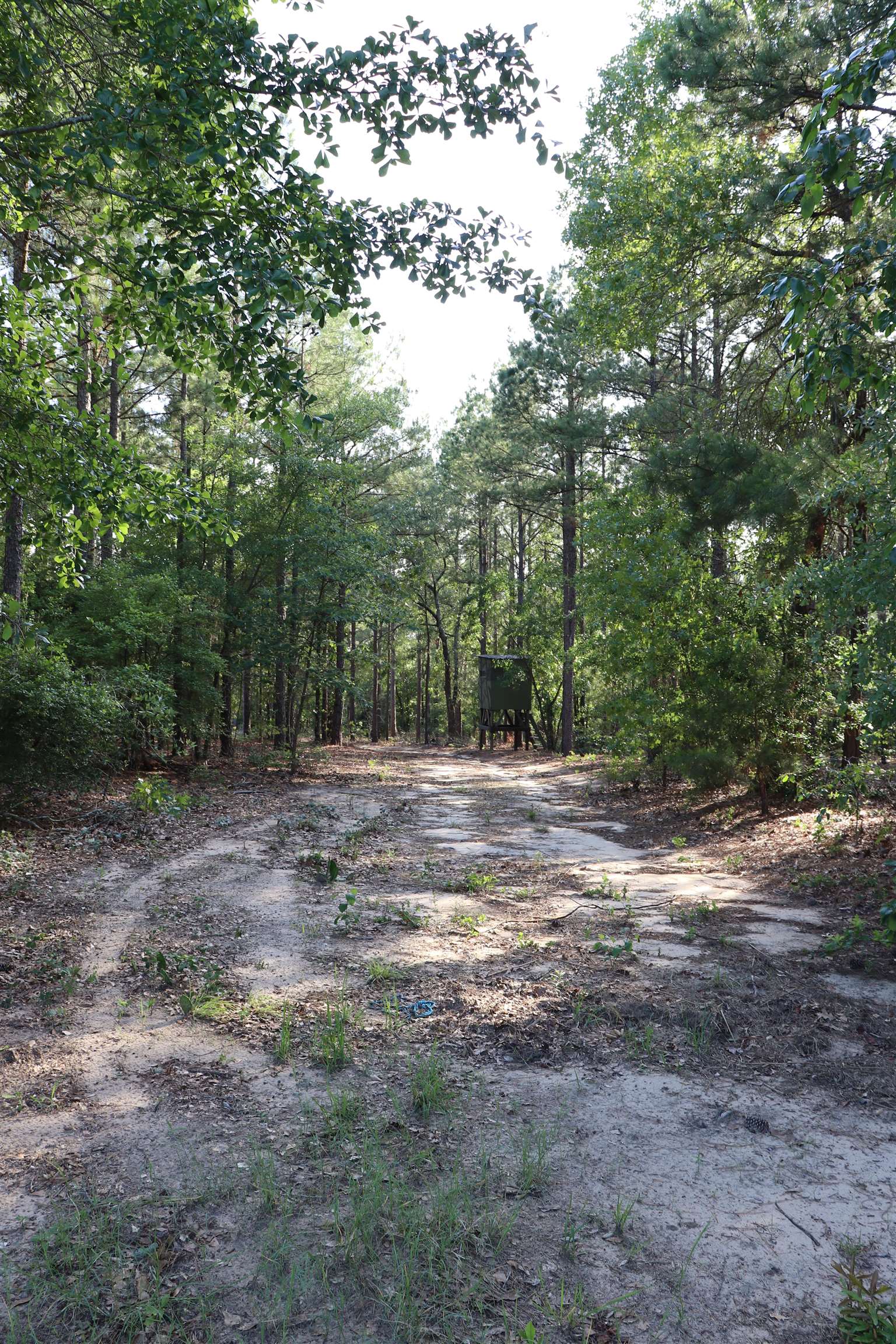 2631 Charlie Johnson Rd Property Photo 20