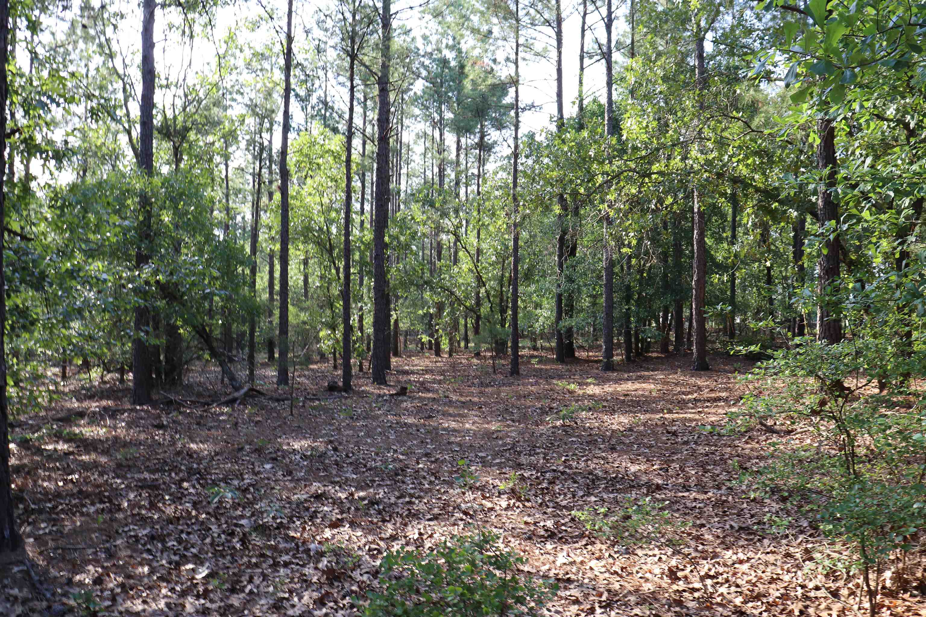 2631 Charlie Johnson Rd Property Photo 21
