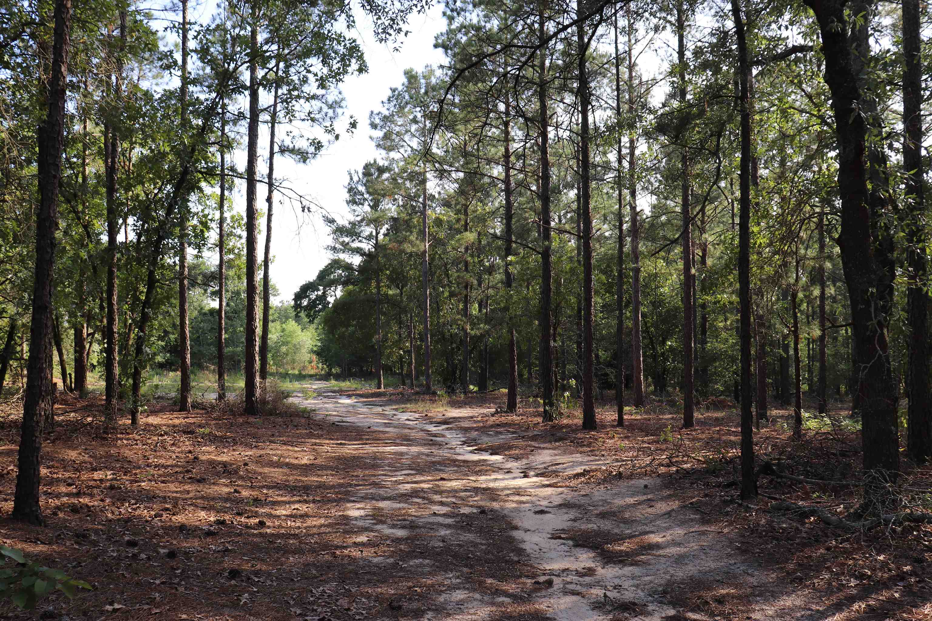 2631 Charlie Johnson Rd Property Photo 22