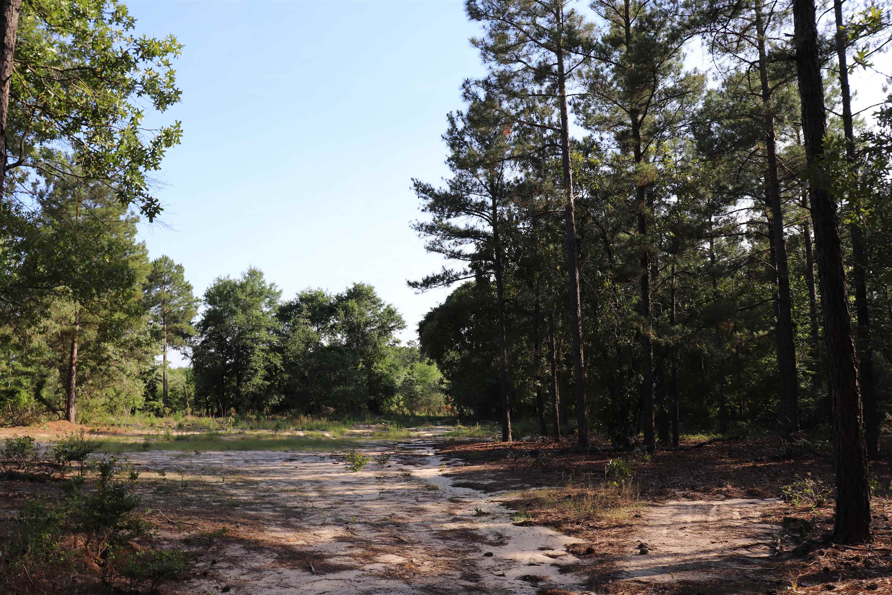 2631 Charlie Johnson Rd Property Photo 23