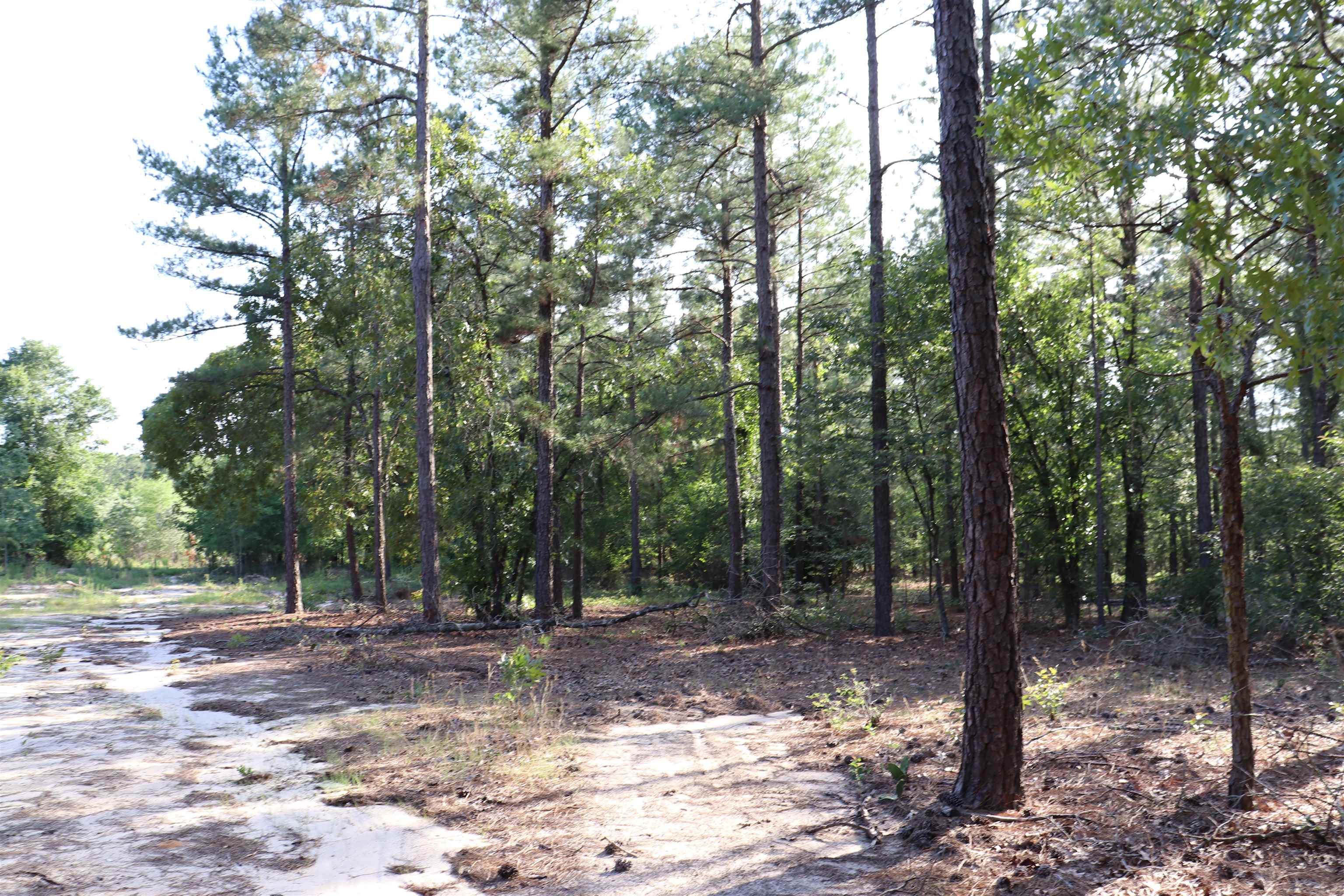 2631 Charlie Johnson Rd Property Photo 25