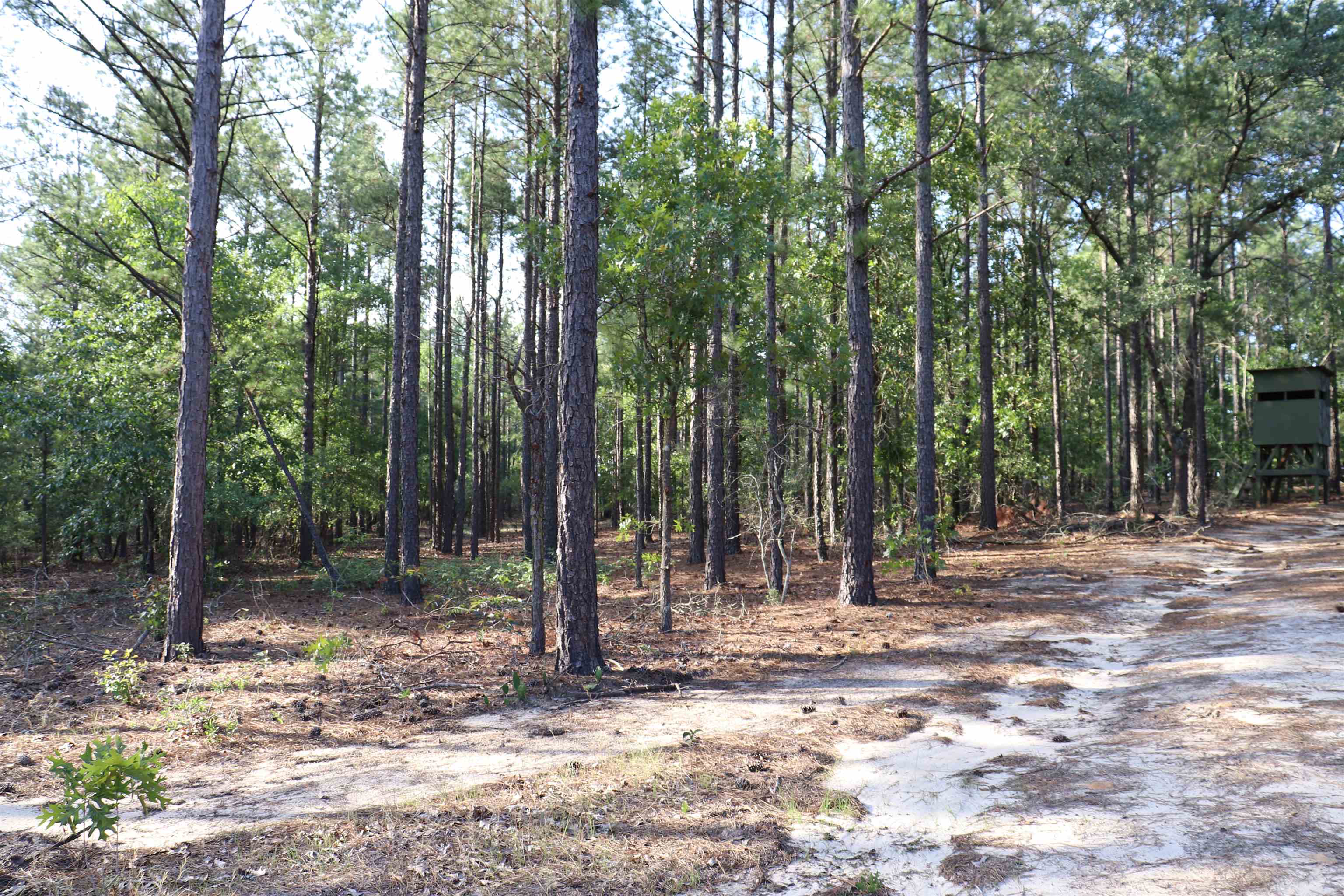 2631 Charlie Johnson Rd Property Photo 26