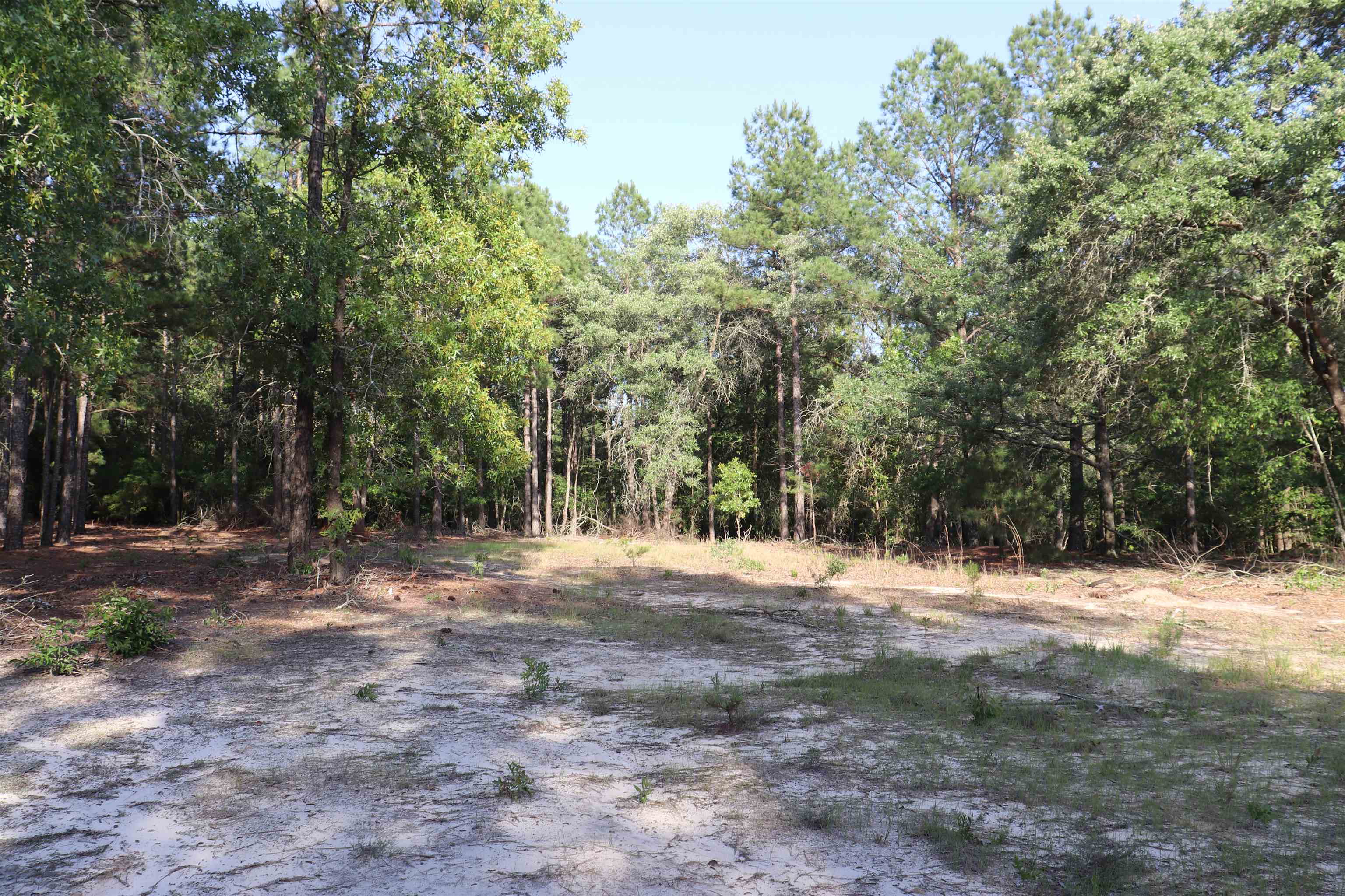 2631 Charlie Johnson Rd Property Photo 27