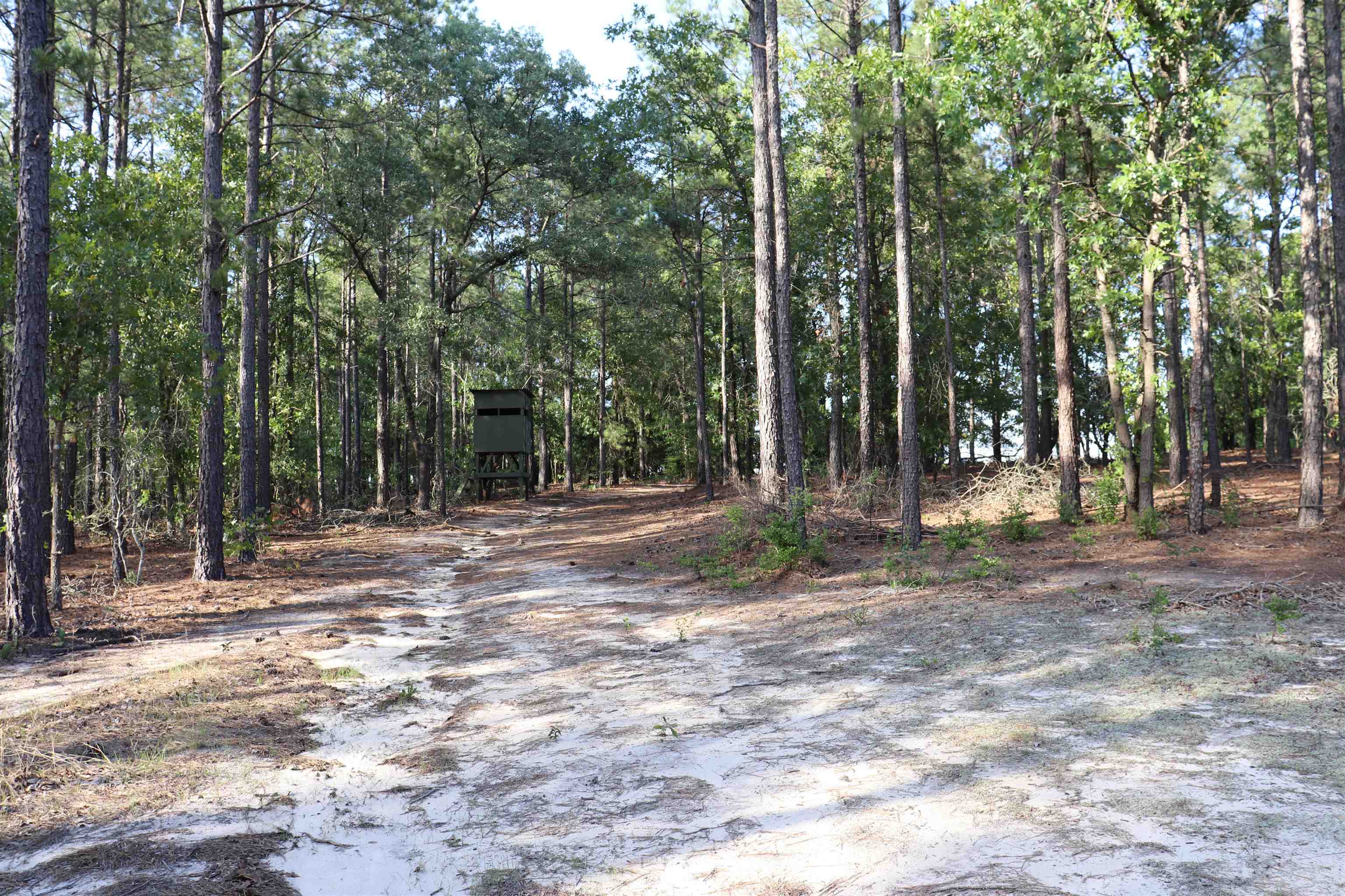 2631 Charlie Johnson Rd Property Photo 28