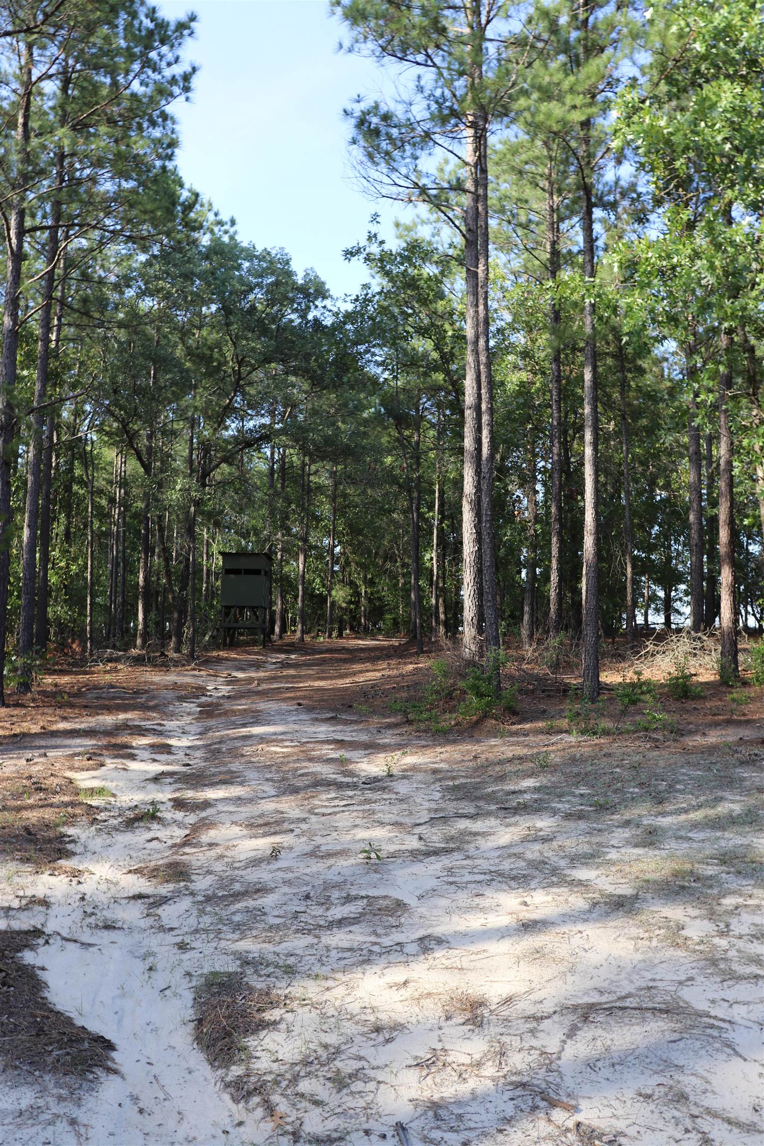 2631 Charlie Johnson Rd Property Photo 29
