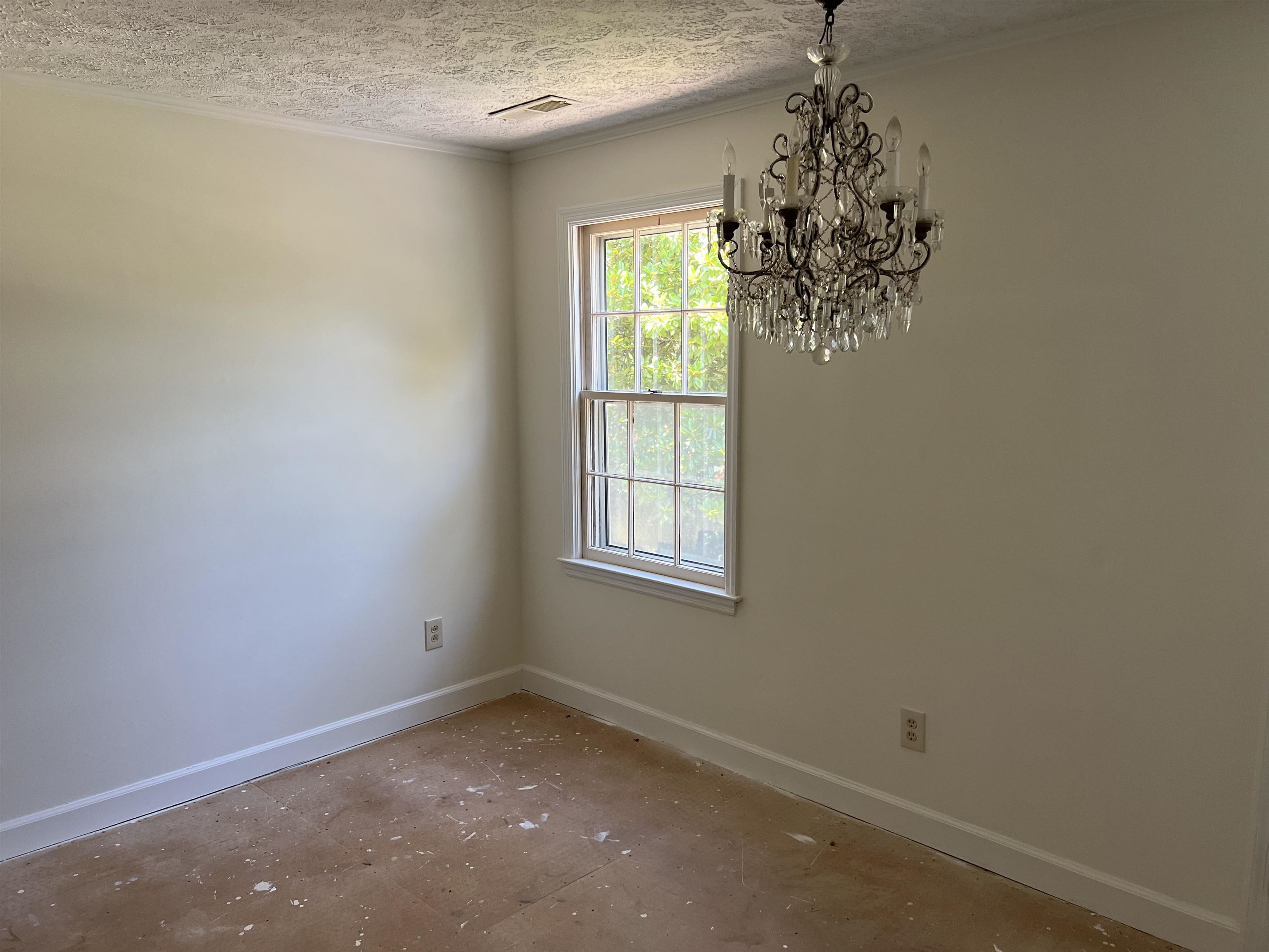 5619 Main St. Property Photo 38