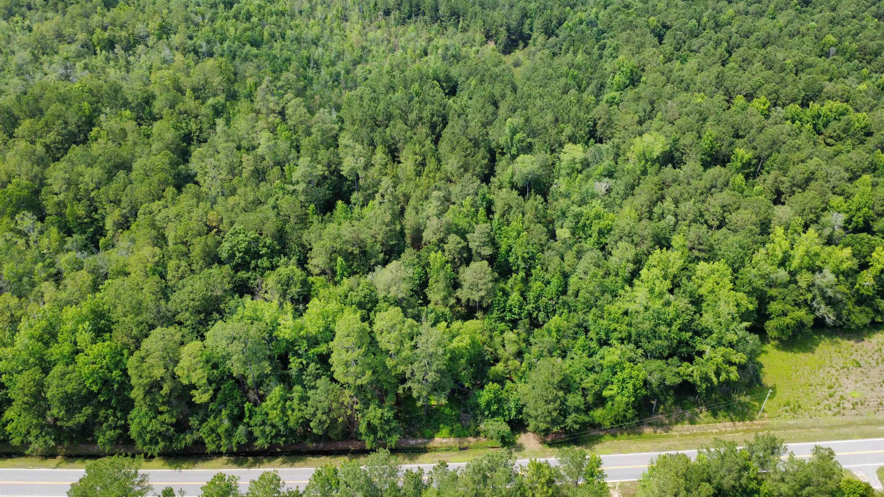 Tbd (tract 1) Long Branch Swamp Rd. Property Photo 3