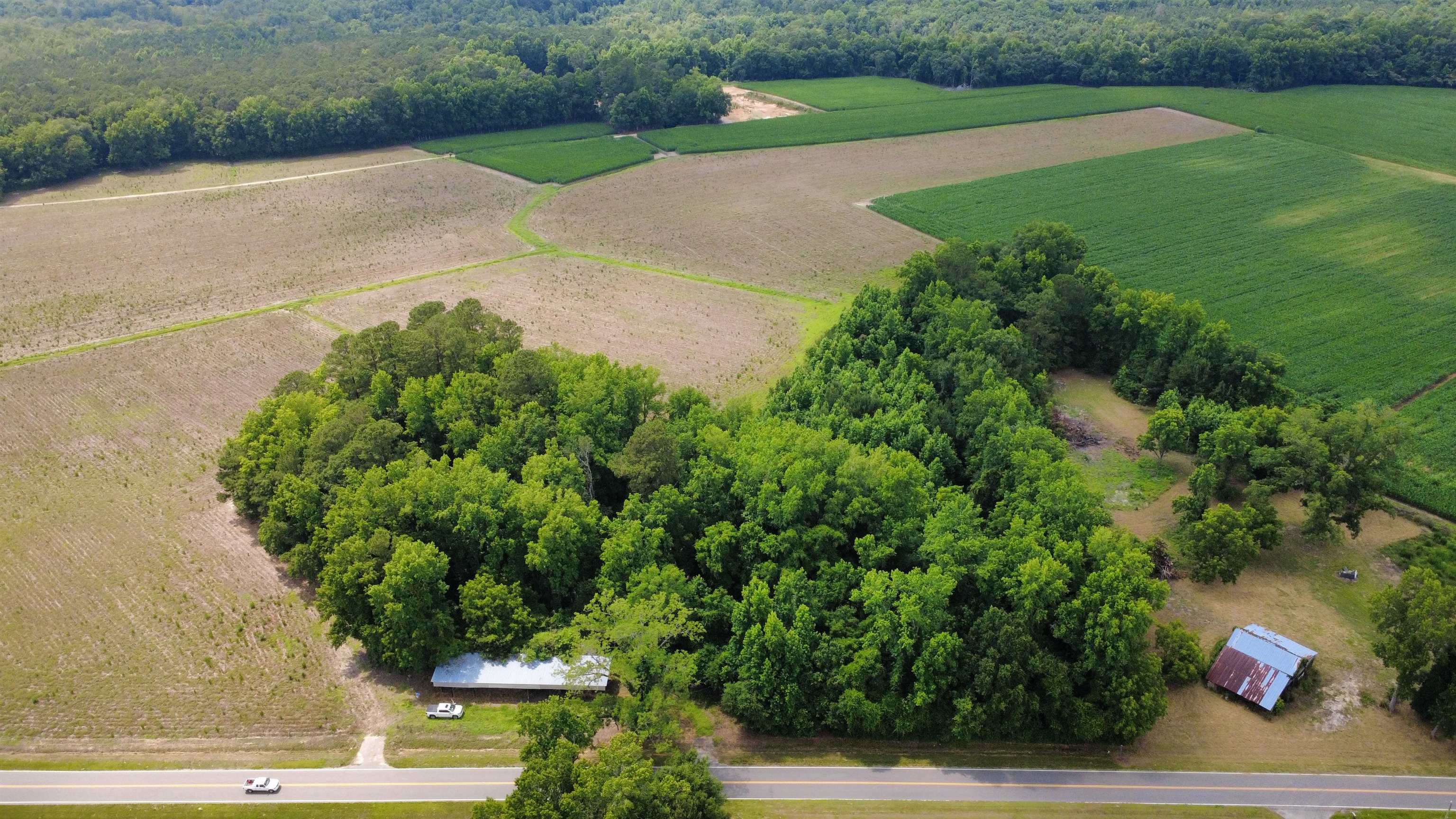 Tbd (tract 4 R) Long Branch Swamp Rd. Property Photo 1