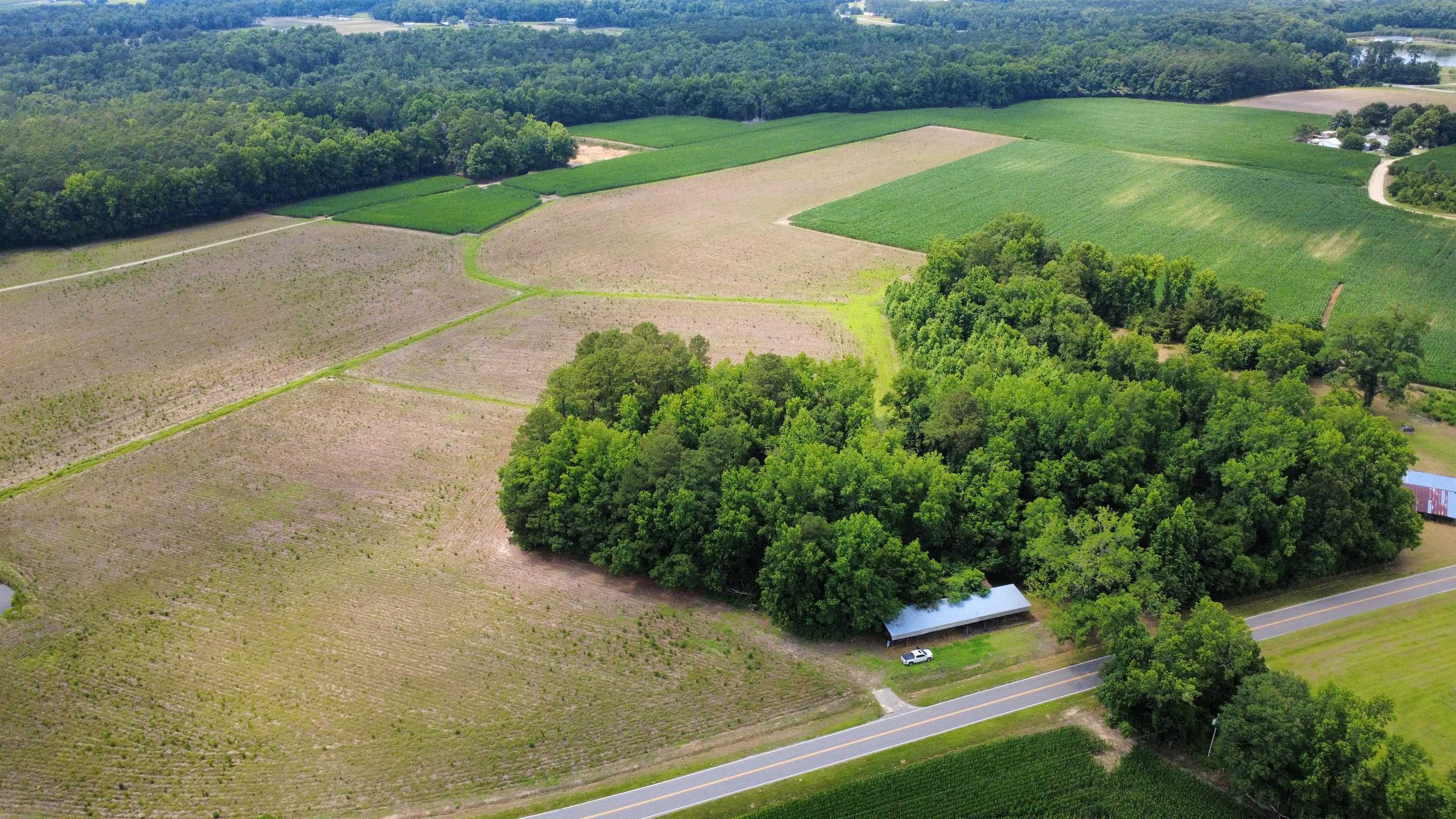 Tbd (tract 4 R) Long Branch Swamp Rd. Property Photo 4