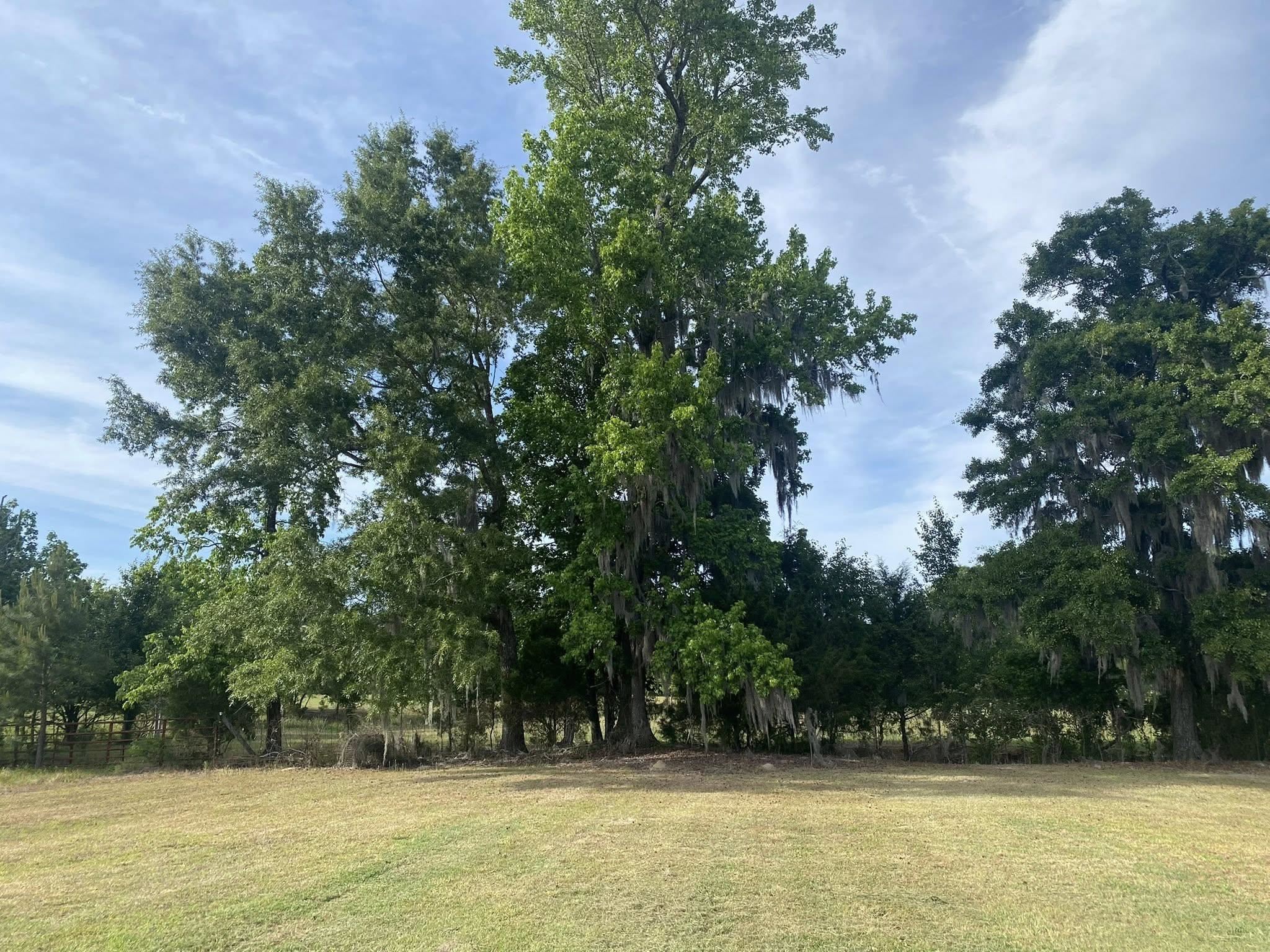 10407 County Line Rd. Property Photo 28