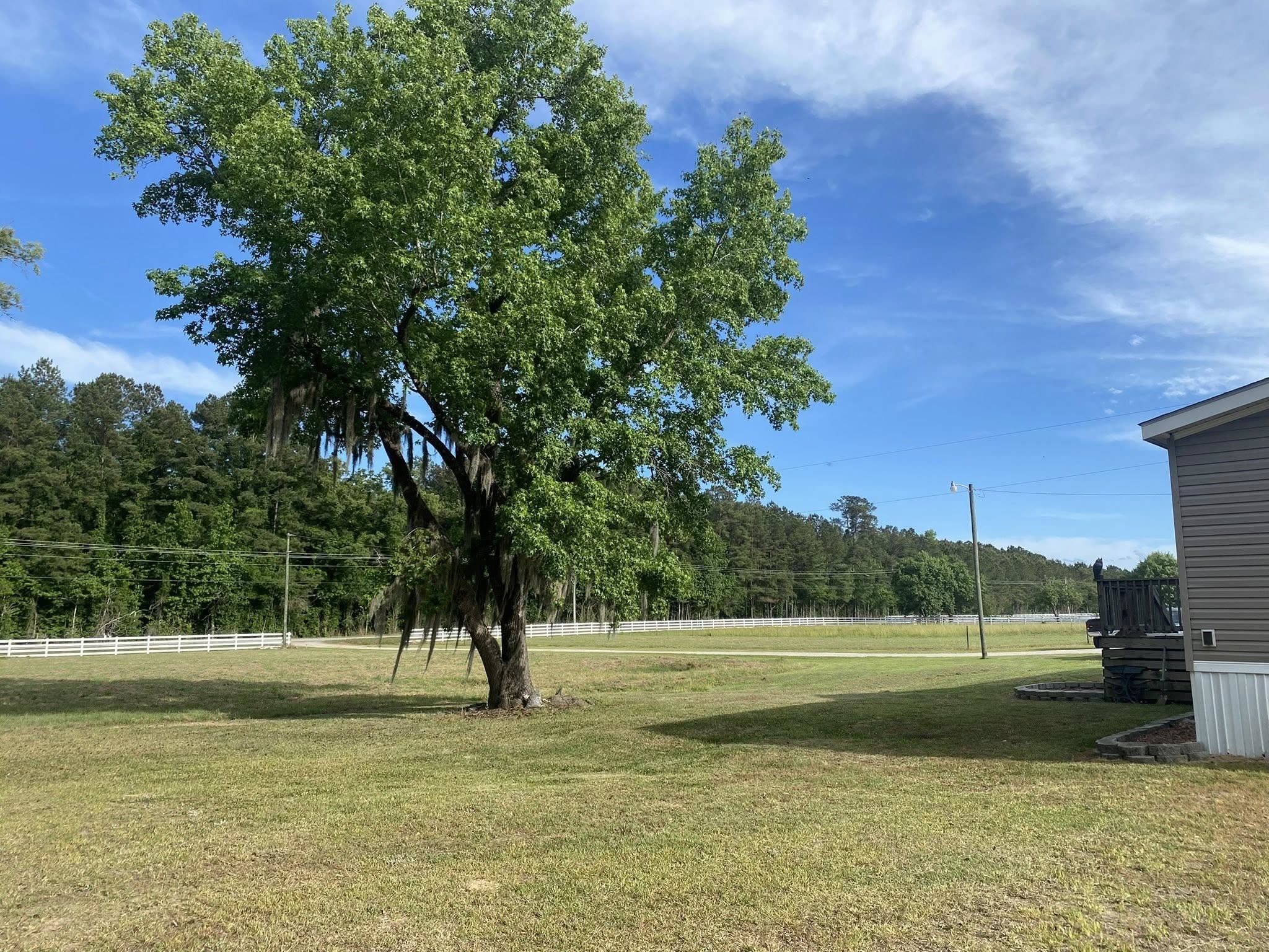 10407 County Line Rd. Property Photo 32