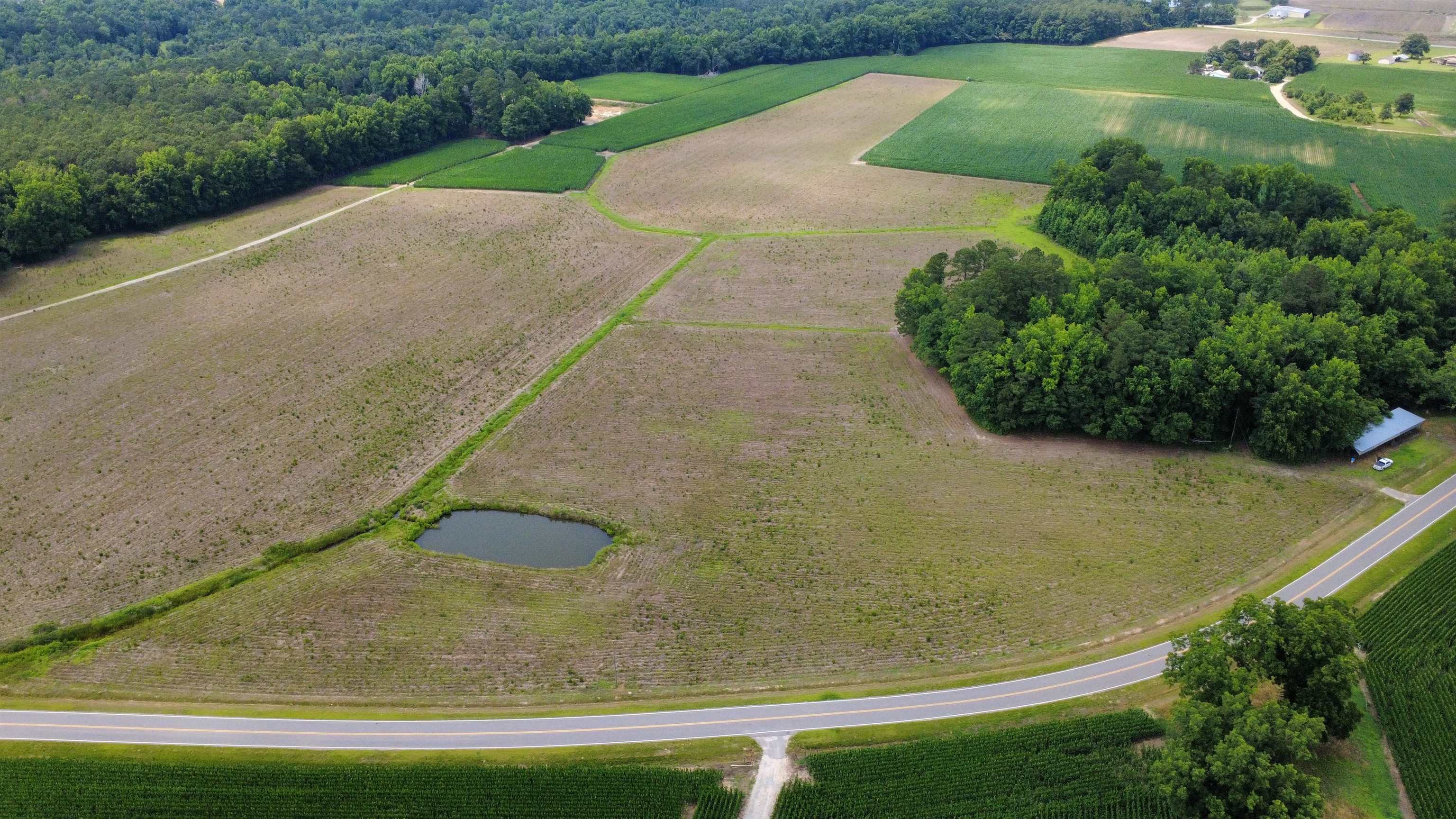 Tbd (tract 3) Long Branch Swamp Rd. Property Photo 1