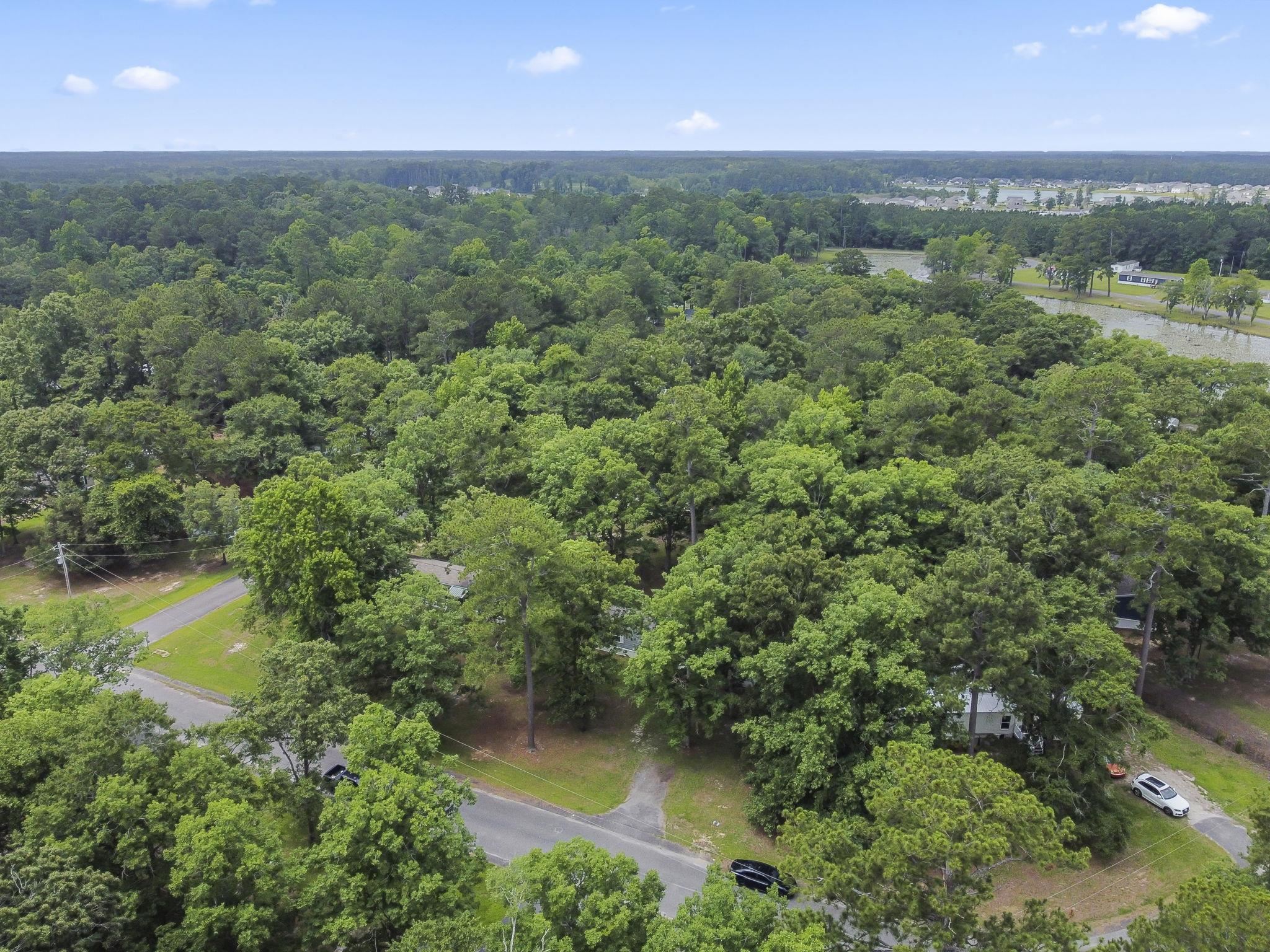 268 Williamson Lake Circle Property Photo 30