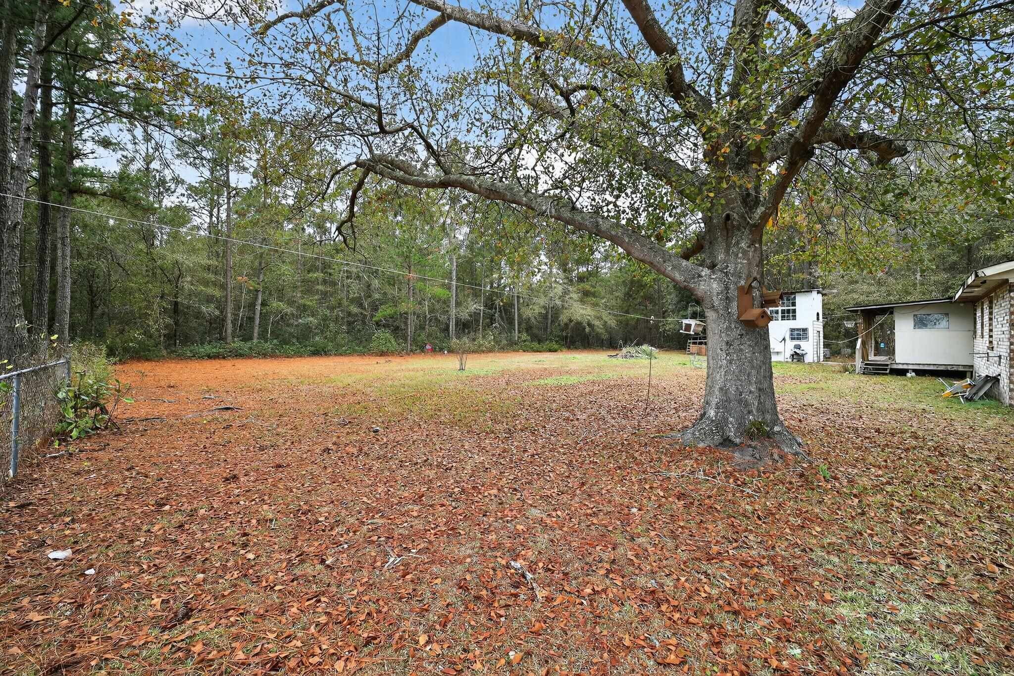 8345 Highway 917 Property Photo 2