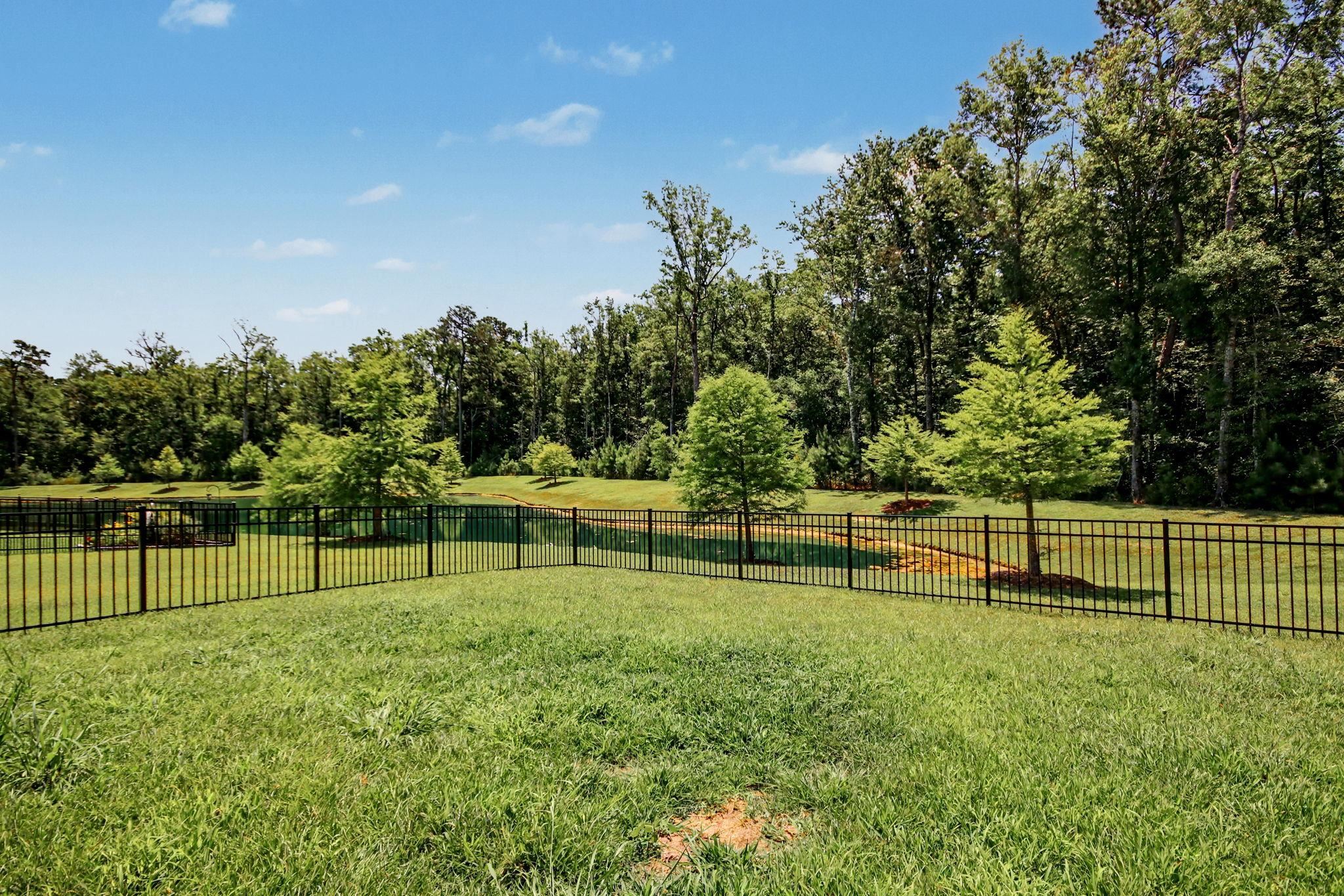 2223 Blue Crane Circle Property Photo 45