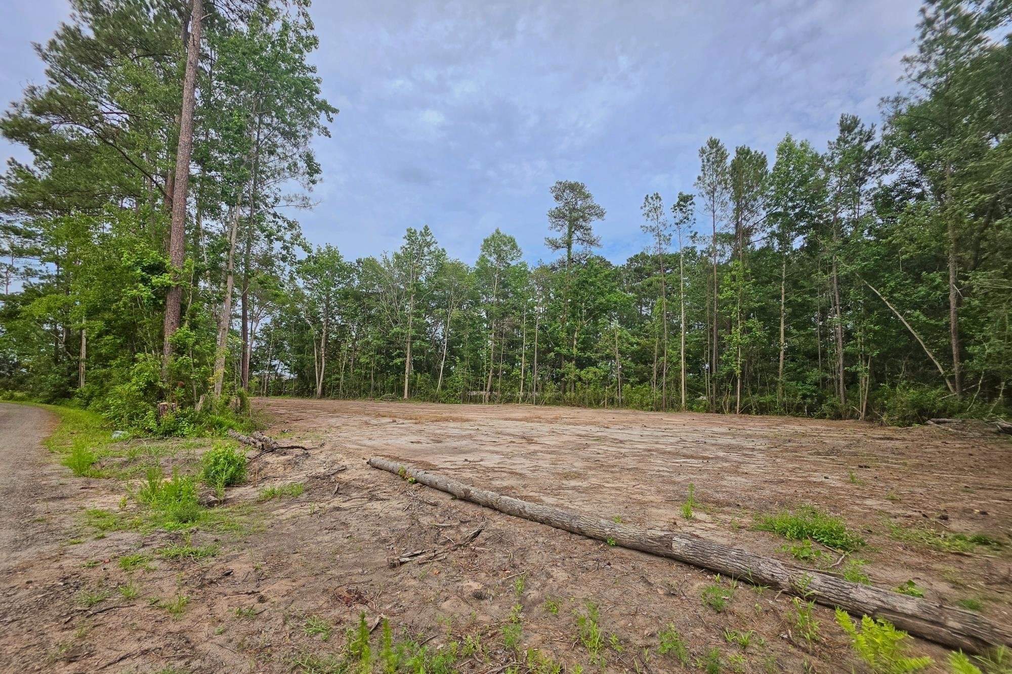 4137 Rose Bud Ln. Property Photo 1
