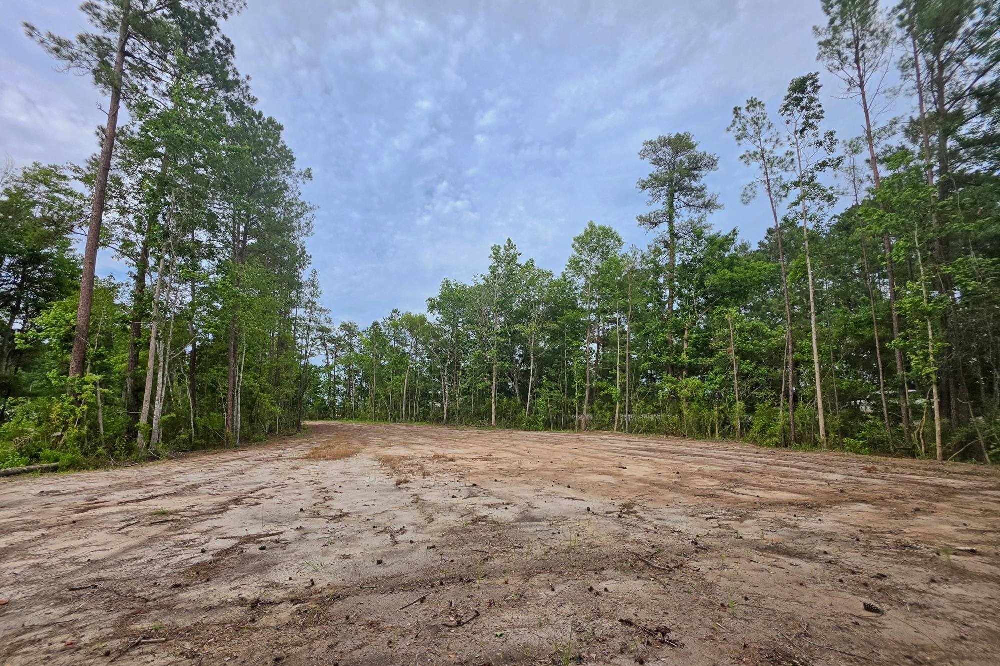 4137 Rose Bud Ln. Property Photo 5