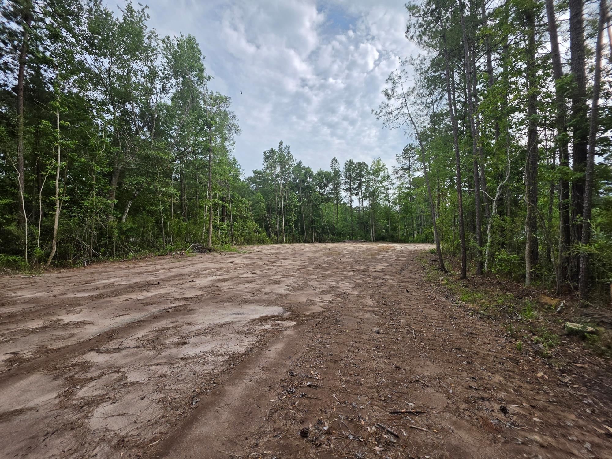 4137 Rose Bud Ln. Property Photo 7