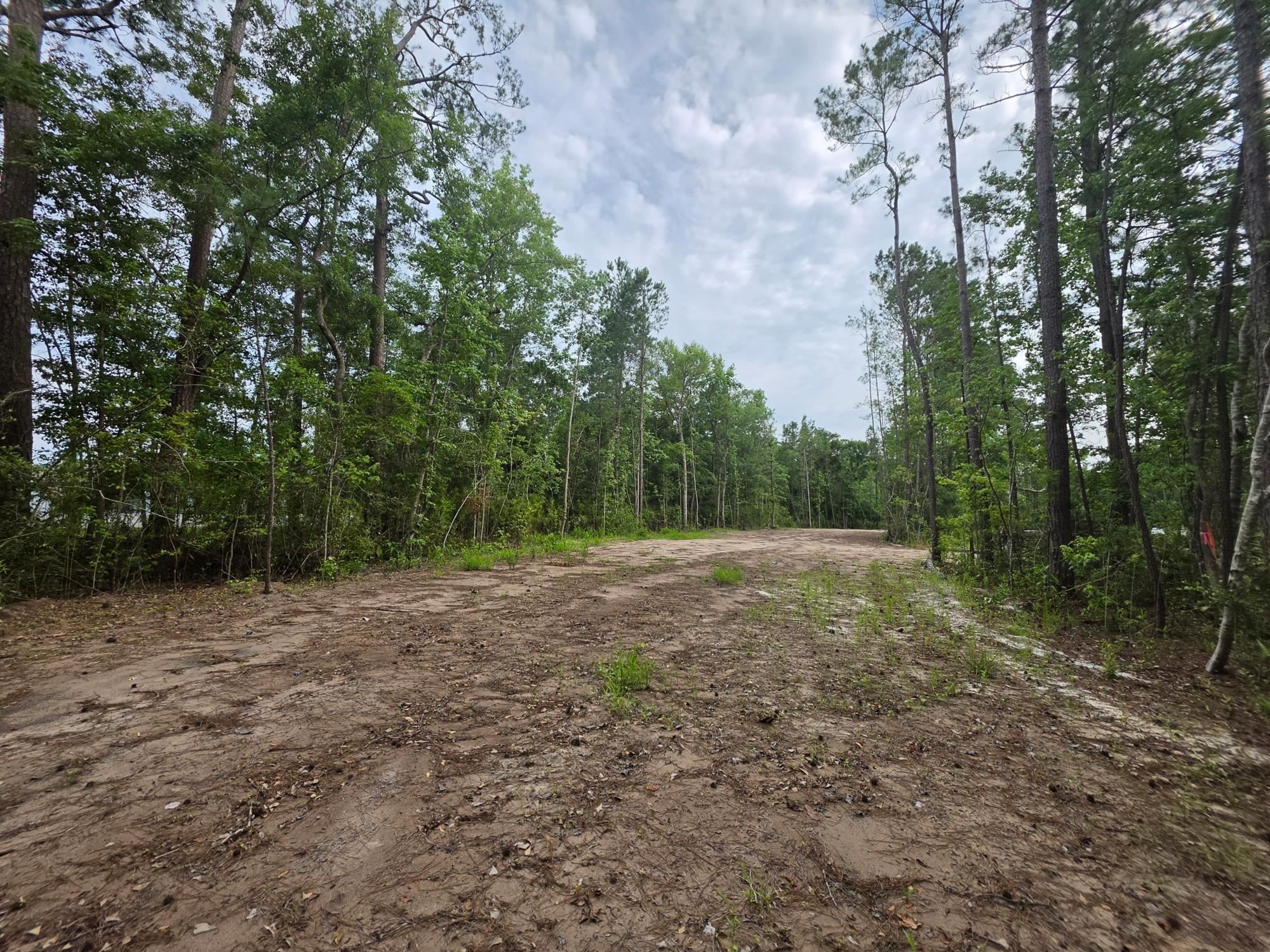 4137 Rose Bud Ln. Property Photo 8